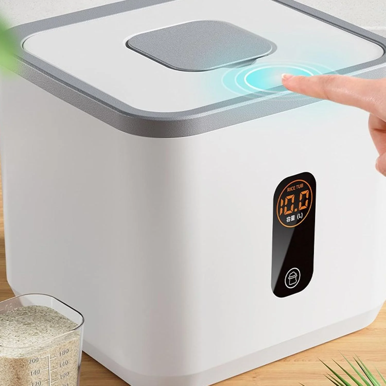 ظرف نگهداری برنج ASHATA، محفظه نگهداری ABS برای استفاده در پاکسازی وصله های ABS برای Curulu (ظرفیت 10 کیلوگرم) ظرف نگهداری برنج ASHATA، محفظه نگهداری ABS برای استفاده در پاکسازی وصله های ABS برای Curulu (ظرفیت 10 کیلوگرم)