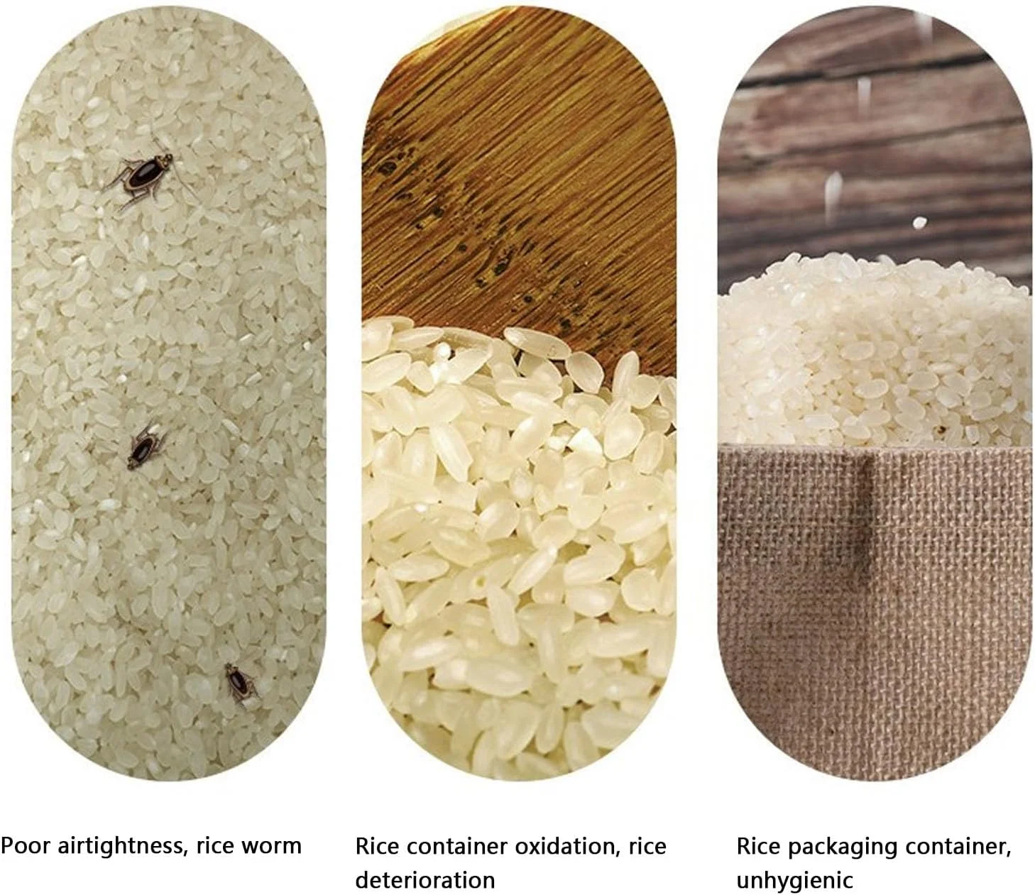 ظرف نگهداری برنج ASHATA، محفظه نگهداری ABS برای استفاده در پاکسازی وصله های ABS برای Curulu (ظرفیت 10 کیلوگرم) ظرف نگهداری برنج ASHATA، محفظه نگهداری ABS برای استفاده در پاکسازی وصله های ABS برای Curulu (ظرفیت 10 کیلوگرم)