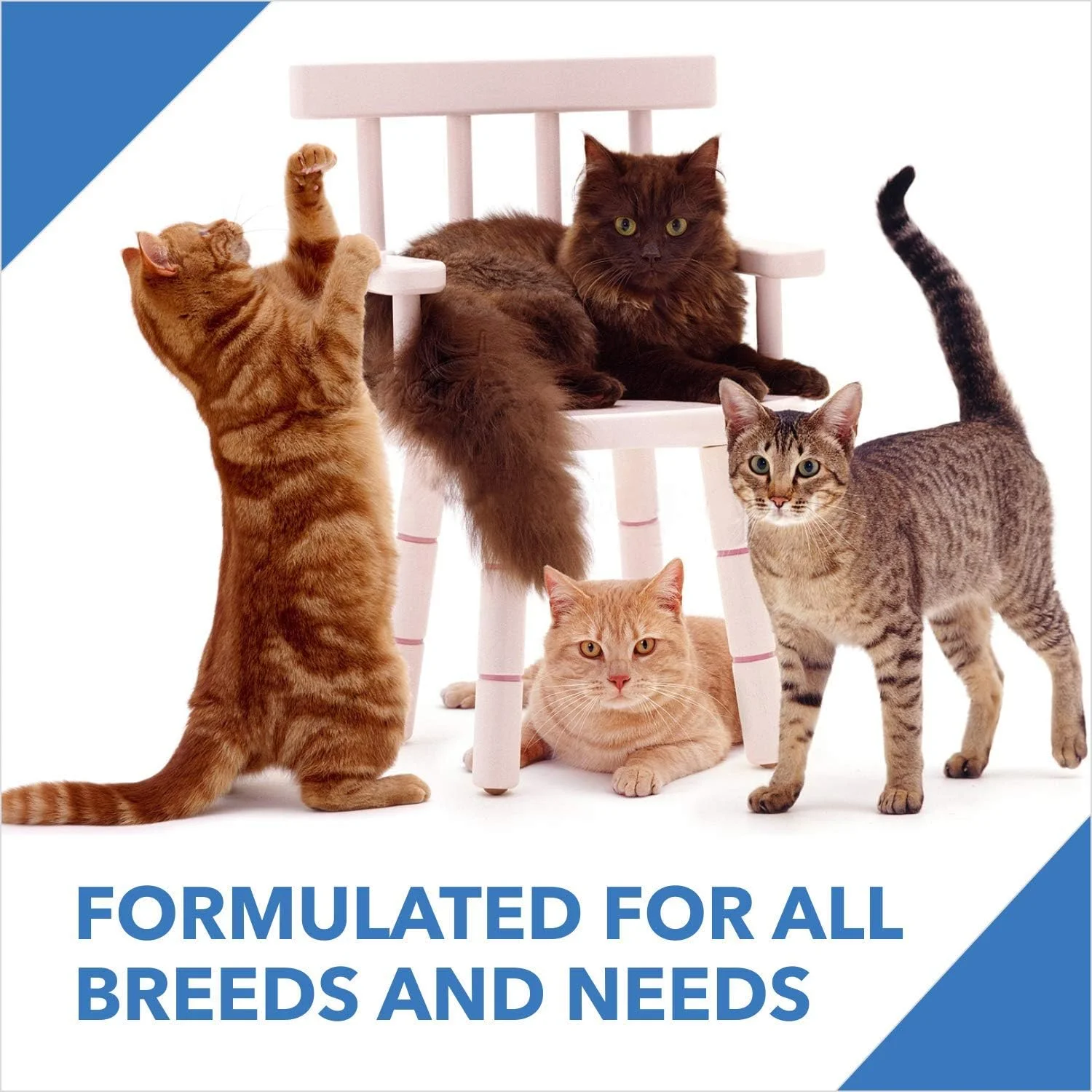 غذای خشک گربه بالغ درولز، ماهی خال مخالی، 3 کیلوگرم | رژیم غذایی 100% مغذی با ماهی واقعی، کنترل گلوله مویی، تورین برای قلب و بینایی، امگا 3 و 6 برای پوست و موی سالم، پشتیبانی از هضم و ایمنی