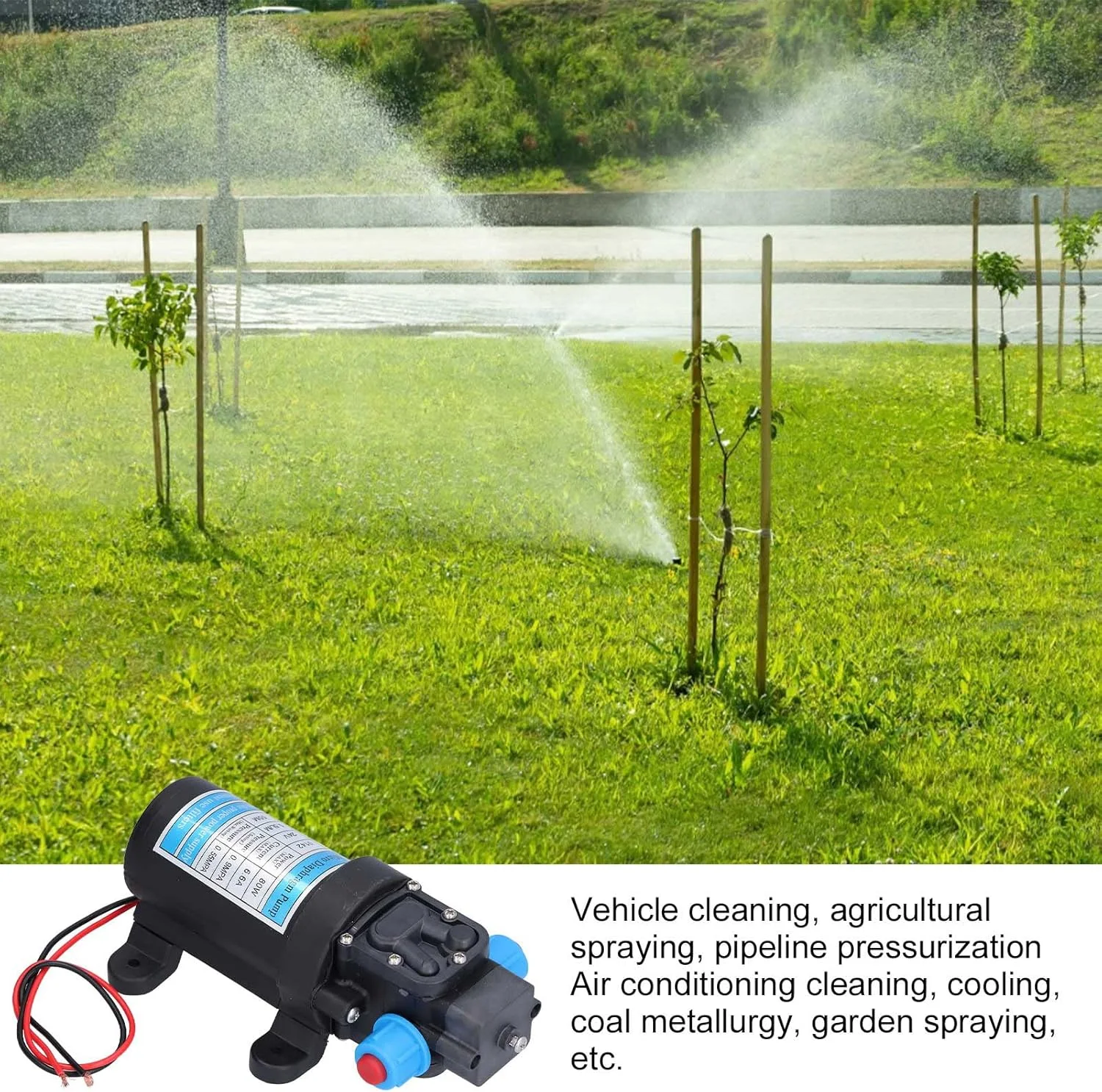 Marhynchus High Pressure SelfSuction Boost Micro Diaphragm Pump, Low Power Consumption, Water Purification, 9kg, Watering Flowers (24V)