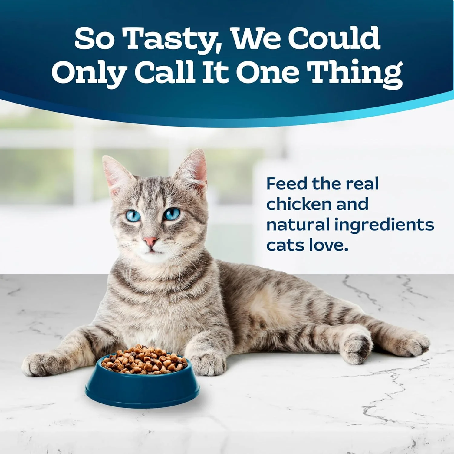 Blue Buffalo Tastefuls Natural Dry Food for Adult Cats, Sensitive Stomach, Chicken & Brown Rice Recipe, 3-lb. Bag Blue Buffalo Tastefuls Natural Dry Food for Adult Cats, Sensitive Stomach, Chicken & Brown Rice Recipe, 3-lb. Bag