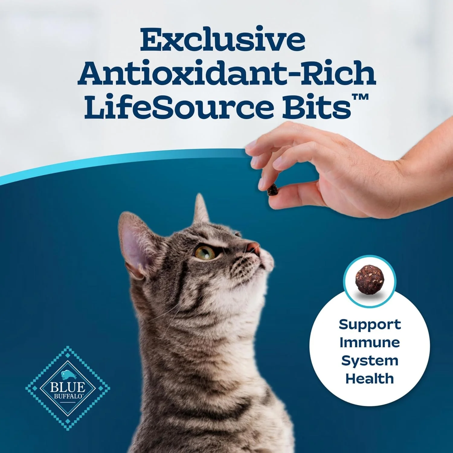Blue Buffalo Tastefuls Natural Dry Food for Adult Cats, Sensitive Stomach, Chicken & Brown Rice Recipe, 3-lb. Bag Blue Buffalo Tastefuls Natural Dry Food for Adult Cats, Sensitive Stomach, Chicken & Brown Rice Recipe, 3-lb. Bag