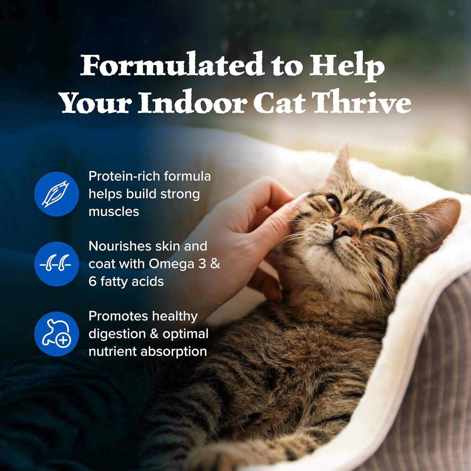 Blue Buffalo Wilderness High Protein, Natural Adult Indoor Dry Cat Food, Chicken 15-lb Blue Buffalo Wilderness High Protein, Natural Adult Indoor Dry Cat Food, Chicken 15-lb