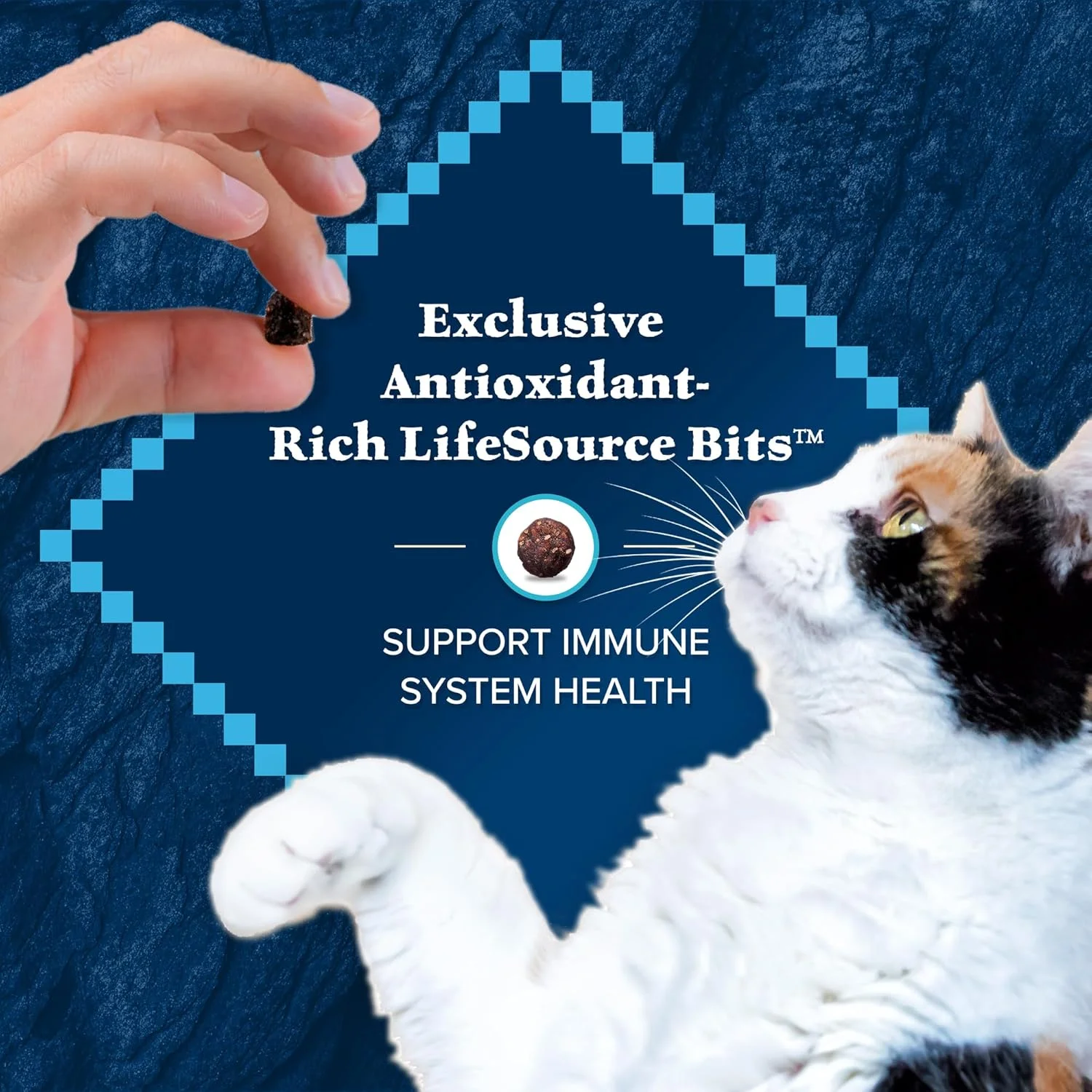 Blue Buffalo Wilderness High Protein, Natural Adult Indoor Dry Cat Food, Chicken 15-lb Blue Buffalo Wilderness High Protein, Natural Adult Indoor Dry Cat Food, Chicken 15-lb