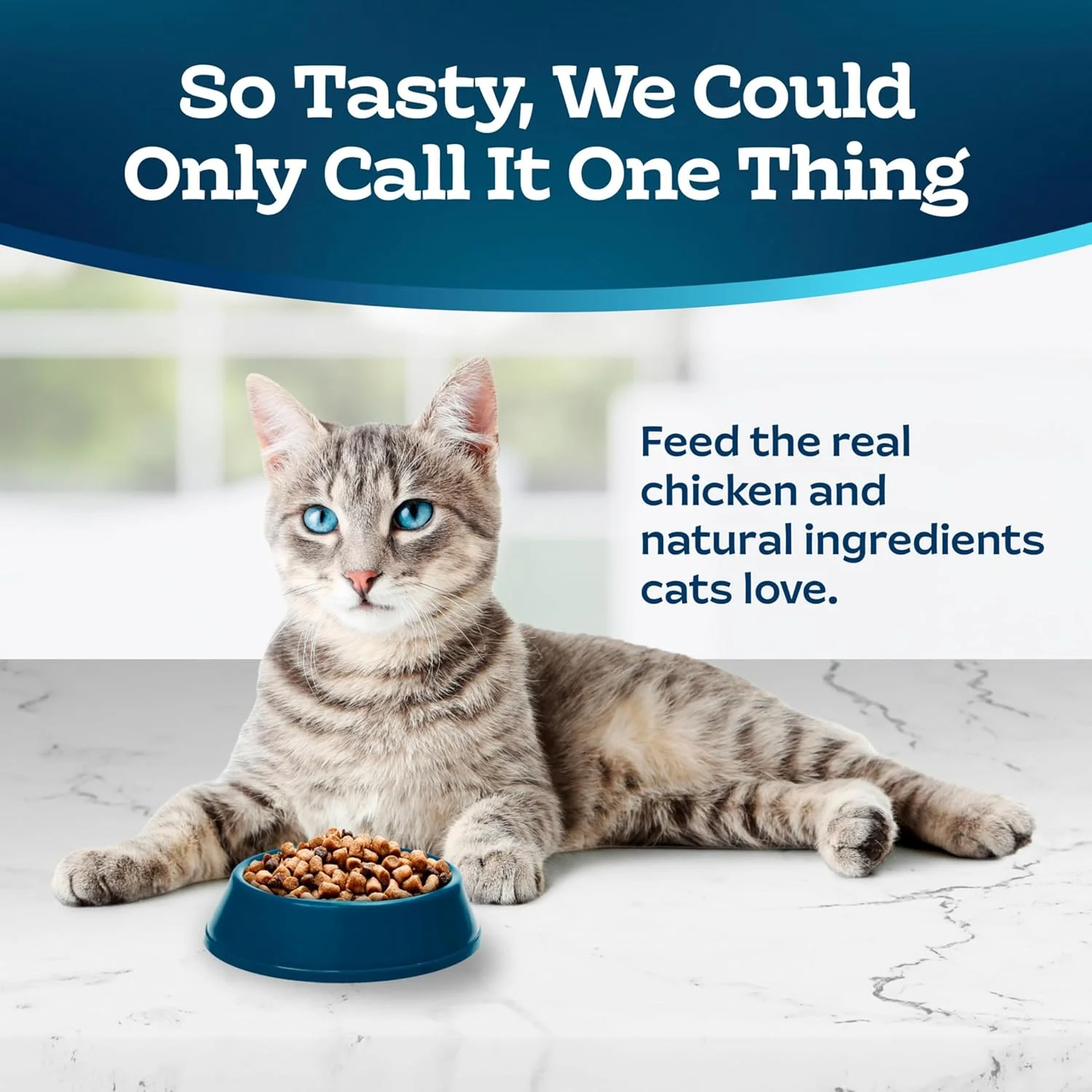 Blue Buffalo Tastefuls Natural Dry Food for Active Adult Cats, Chicken and Brown Rice Recipe, 7-lb. Bag Blue Buffalo Tastefuls Natural Dry Food for Active Adult Cats, Chicken and Brown Rice Recipe, 7-lb. Bag
