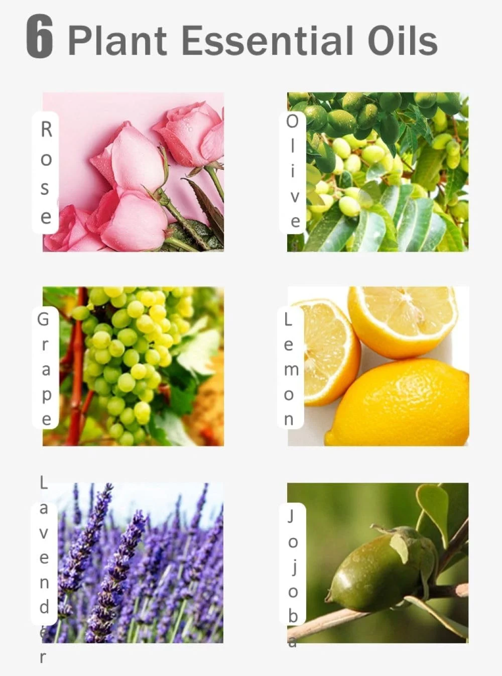 دستکش ژلی اسپا، دستکش مرطوب کننده قابل استفاده مجدد، ضد چروک و ضد پیری، مراقبت از دست صاف، ماسک لایه بردار سفید کننده دست برای زنان، 1 جفت دستکش ژلی اسپا، دستکش مرطوب کننده قابل استفاده مجدد، ضد چروک و ضد پیری، مراقبت از دست صاف، ماسک لایه بردار سفید کننده دست برای زنان، 1 جفت