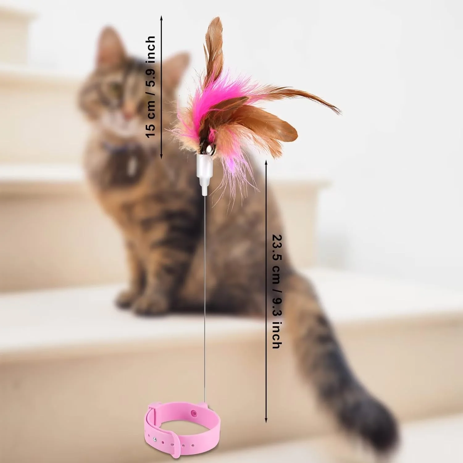 اسباب بازی پر دار گربه زلیا 2 عددی، اسباب بازی تعاملی یقه ای با پر و زنگوله، هدیه اسباب بازی داخلی برای گربه ها برای کاهش تنهایی آنها، اسباب بازی ایده آل برای یک یا چند گربه به طور همزمان (صورتی سبز) اسباب بازی پر دار گربه زلیا 2 عددی، اسباب بازی تعاملی یقه ای با پر و زنگوله، هدیه اسباب بازی داخلی برای گربه ها برای کاهش تنهایی آنها، اسباب بازی ایده آل برای یک یا چند گربه به طور همزمان (صورتی سبز)