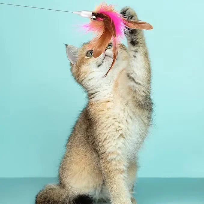 اسباب بازی پر دار گربه زلیا 2 عددی، اسباب بازی تعاملی یقه ای با پر و زنگوله، هدیه اسباب بازی داخلی برای گربه ها برای کاهش تنهایی آنها، اسباب بازی ایده آل برای یک یا چند گربه به طور همزمان (صورتی سبز) اسباب بازی پر دار گربه زلیا 2 عددی، اسباب بازی تعاملی یقه ای با پر و زنگوله، هدیه اسباب بازی داخلی برای گربه ها برای کاهش تنهایی آنها، اسباب بازی ایده آل برای یک یا چند گربه به طور همزمان (صورتی سبز)