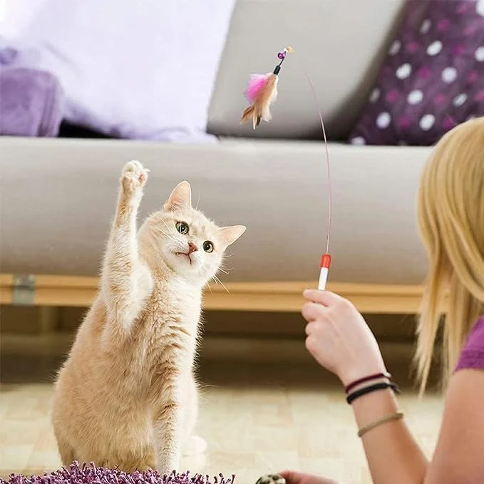 مجموعه 20 عددی اسباب بازی گربه ZELLYA، شامل اسباب بازی های متنوع بچه گربه، اسباب بازی موش بچه گربه، اسباب بازی توپ گربه، اسباب بازی چوب پر گربه، اسباب بازی زنگوله گربه، مجموعه اسباب بازی های تعاملی گربه برای گربه های خانگی