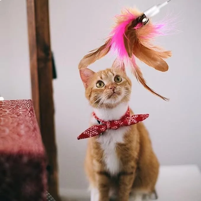 اسباب بازی پر دار گربه زلیا 2 عددی، اسباب بازی تعاملی یقه ای با پر و زنگوله، هدیه اسباب بازی داخلی برای گربه ها برای کاهش تنهایی آنها، اسباب بازی ایده آل برای یک یا چند گربه به طور همزمان (صورتی سبز) اسباب بازی پر دار گربه زلیا 2 عددی، اسباب بازی تعاملی یقه ای با پر و زنگوله، هدیه اسباب بازی داخلی برای گربه ها برای کاهش تنهایی آنها، اسباب بازی ایده آل برای یک یا چند گربه به طور همزمان (صورتی سبز)