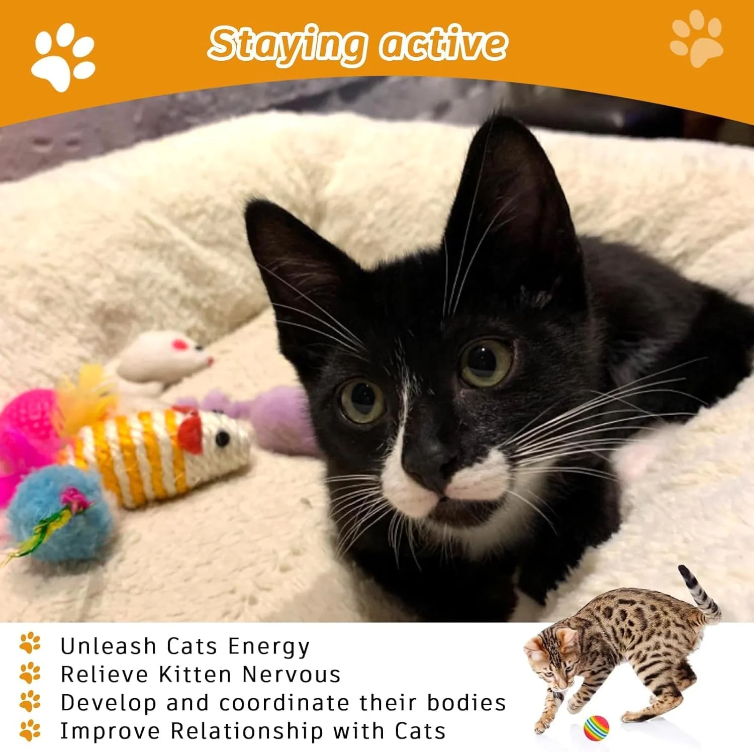 مجموعه 20 عددی اسباب بازی گربه ZELLYA، شامل اسباب بازی های متنوع بچه گربه، اسباب بازی موش بچه گربه، اسباب بازی توپ گربه، اسباب بازی چوب پر گربه، اسباب بازی زنگوله گربه، مجموعه اسباب بازی های تعاملی گربه برای گربه های خانگی