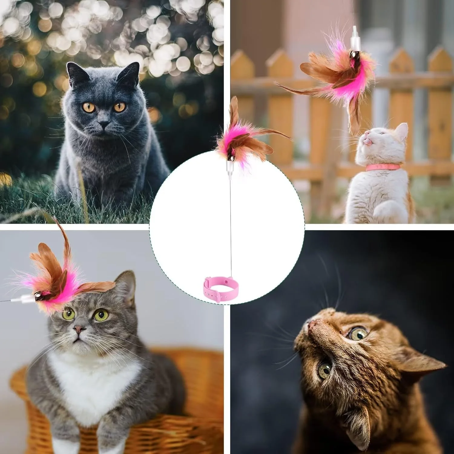 اسباب بازی پر دار گربه زلیا 2 عددی، اسباب بازی تعاملی یقه ای با پر و زنگوله، هدیه اسباب بازی داخلی برای گربه ها برای کاهش تنهایی آنها، اسباب بازی ایده آل برای یک یا چند گربه به طور همزمان (صورتی سبز) اسباب بازی پر دار گربه زلیا 2 عددی، اسباب بازی تعاملی یقه ای با پر و زنگوله، هدیه اسباب بازی داخلی برای گربه ها برای کاهش تنهایی آنها، اسباب بازی ایده آل برای یک یا چند گربه به طور همزمان (صورتی سبز)