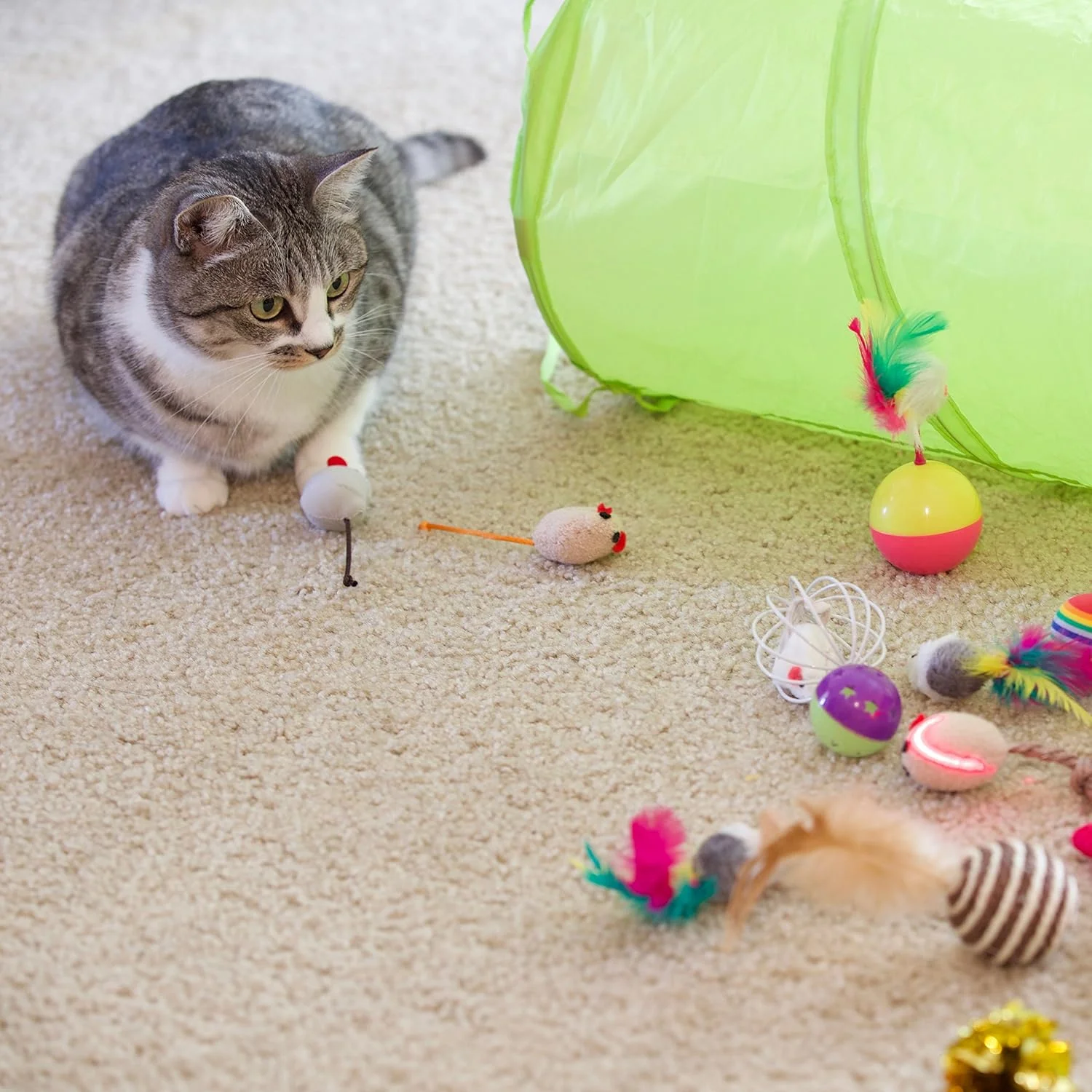 Youngever 24 Cat Toys Kitten Toys Assortments, 2 Way Tunnel, Cat Feather Teaser - Wand Interactive Feather Toy Fluffy Mouse, Crinkle Balls for Cat, Puppy, Kitty, Kitten Youngever 24 Cat Toys Kitten Toys Assortments, 2 Way Tunnel, Cat Feather Teaser - Wand Interactive Feather Toy Fluffy Mouse, Crinkle Balls for Cat, Puppy, Kitty, Kitten