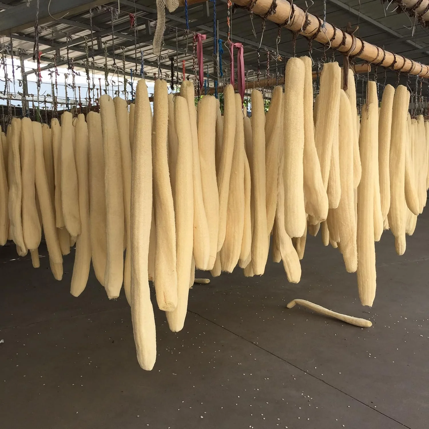 پد لوفا طبیعی لایه بردار صورت، بسته 18 عددی - پد اسکراب صورت و بدن - مناسب حمام، دوش و اسپا - اسکراب لوفا - لوفا اسکرابر عمده - پاک کننده پوست برای زنان و مردان