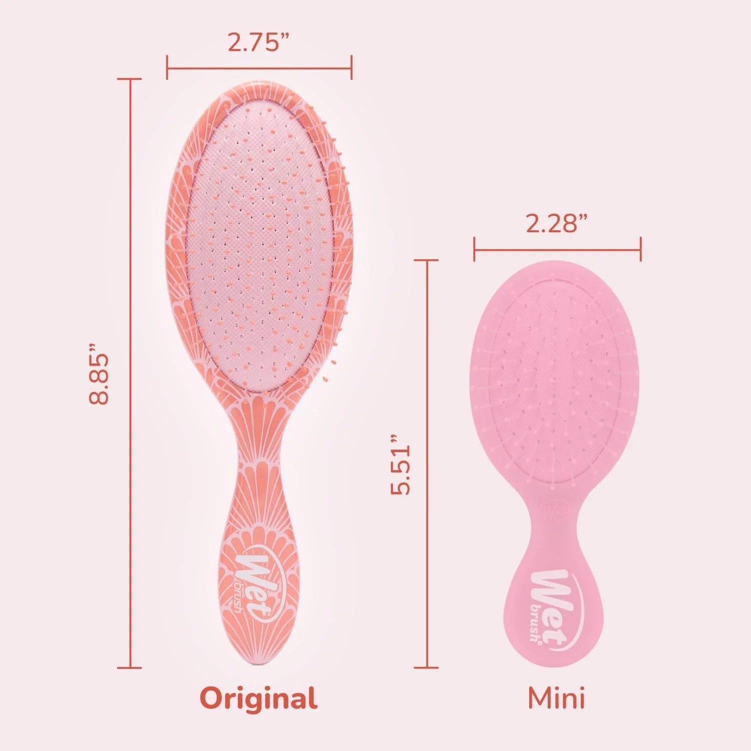 برس مو خیس اورجینال دیتانگلر، آفتاب و صدف (Coastal Charm) - موهای فوق العاده نرم IntelliFlex - برس باز کننده گره مو به راحتی از بین گره ها برای انواع مو (خشک و خیس) - زنان و مردان برس مو خیس اورجینال دیتانگلر، آفتاب و صدف (Coastal Charm) - موهای فوق العاده نرم IntelliFlex - برس باز کننده گره مو به راحتی از بین گره ها برای انواع مو (خشک و خیس) - زنان و مردان