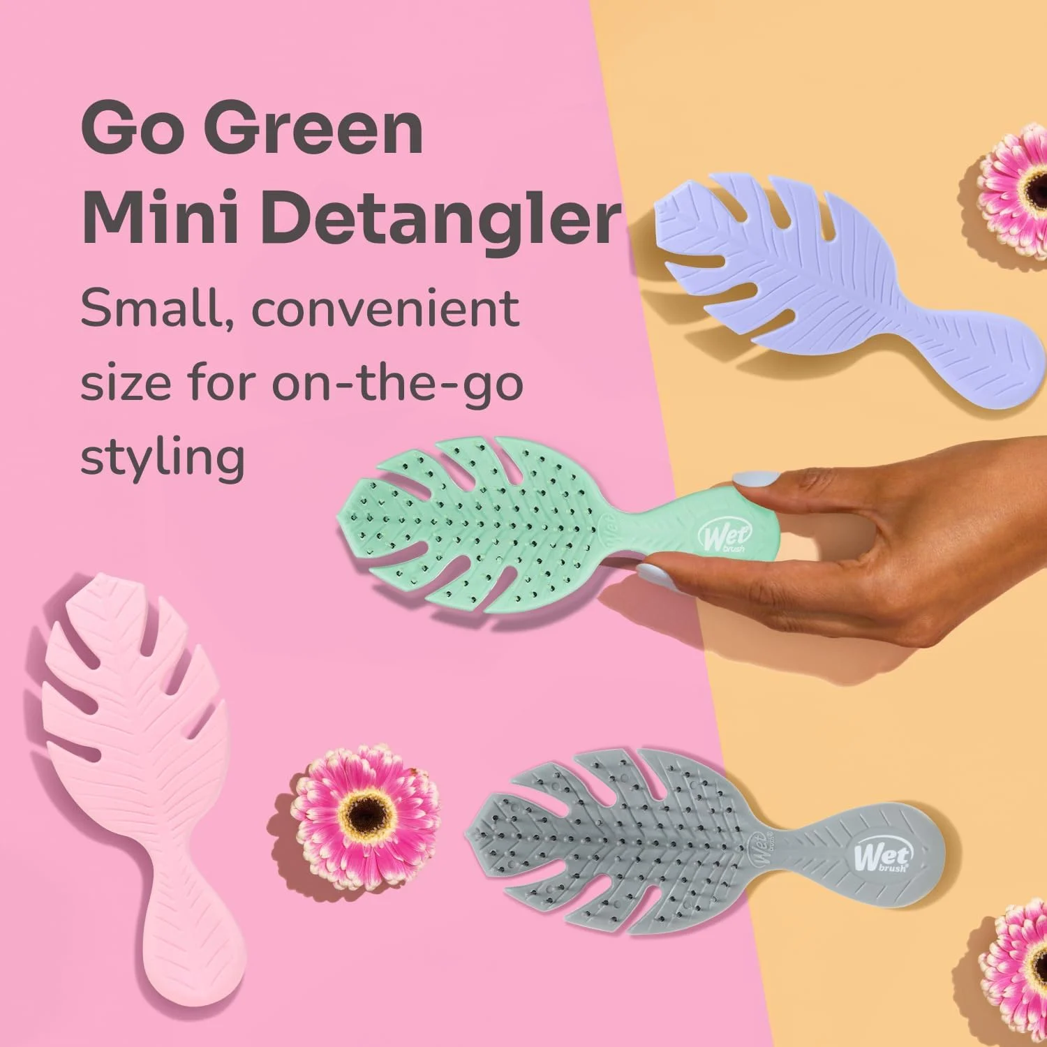 برس موی کوچک گره باز کن وت براش سری Go Green، بنفش - برس مسافرتی گره باز کن مو - موهای نرم و انعطاف پذیر IntelliFlex به آرامی گره ها را باز می کنند و گره ها را باز می کنند در حالی که درد و شکستگی را به حداقل می رسانند (بسته 2 عددی) برس موی کوچک گره باز کن وت براش سری Go Green، بنفش - برس مسافرتی گره باز کن مو - موهای نرم و انعطاف پذیر IntelliFlex به آرامی گره ها را باز می کنند و گره ها را باز می کنند در حالی که درد و شکستگی را به حداقل می رسانند (بسته 2 عددی)