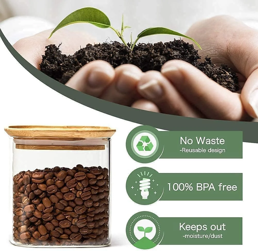 ظروف ادویه با درب بامبو طبیعی - شیشه ای - 12 عدد ظرف شیشه ای مربعی - ظروف گیاهی 450 میلی لیتری با برچسب های ضد آب، ظروف درب دار - ظروف کوچک خالی چاشنی (مجموعه 12 عددی (150 میلی لیتر)) ظروف ادویه با درب بامبو طبیعی - شیشه ای - 12 عدد ظرف شیشه ای مربعی - ظروف گیاهی 450 میلی لیتری با برچسب های ضد آب، ظروف درب دار - ظروف کوچک خالی چاشنی (مجموعه 12 عددی (150 میلی لیتر))