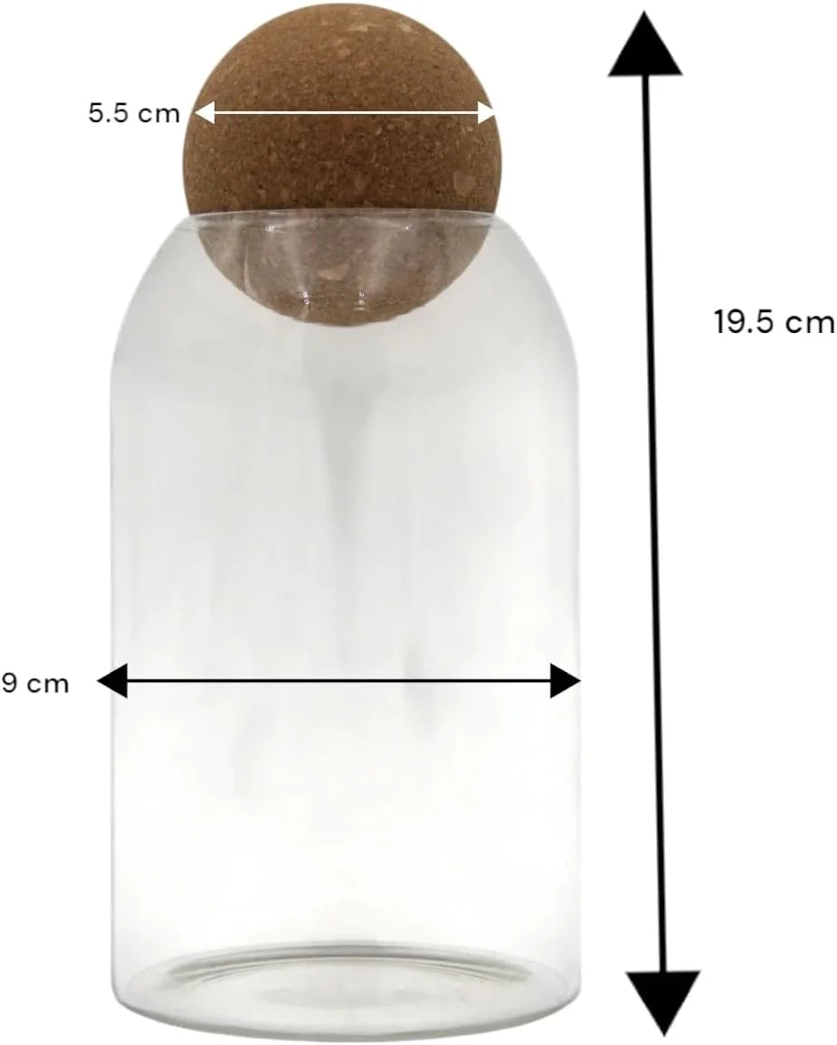 ست ۴ تکه ظروف شیشه ای مینیمالیستی هامز آیدیاز با درب چوب پنبه ای گرد - ظروف نگهداری سازگار با محیط زیست برای چای، دانه های قهوه، ادویه جات، گیاهان یا نمایش تزئینی ست ۴ تکه ظروف شیشه ای مینیمالیستی هامز آیدیاز با درب چوب پنبه ای گرد - ظروف نگهداری سازگار با محیط زیست برای چای، دانه های قهوه، ادویه جات، گیاهان یا نمایش تزئینی