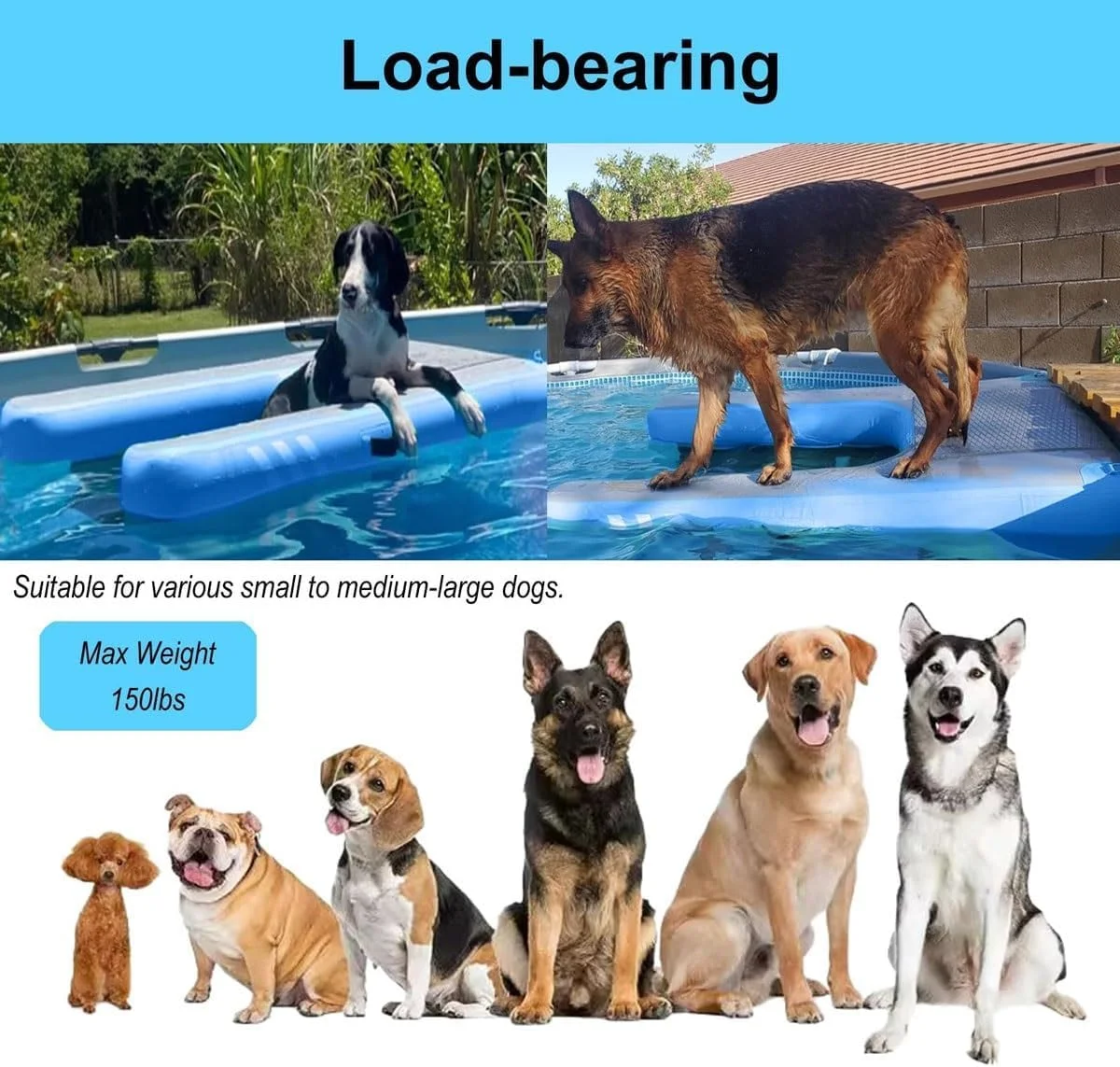 رمپ آبی بادی شناور سگ با پله پایدار، رمپ قایق سگ ضد لغزش EVA، نردبان شناور آبی قایق سگ قابل استفاده مجدد، برای دریاچه ها، اسکله ها، رودخانه و استخر های روی زمین رمپ آبی بادی شناور سگ با پله پایدار، رمپ قایق سگ ضد لغزش EVA، نردبان شناور آبی قایق سگ قابل استفاده مجدد، برای دریاچه ها، اسکله ها، رودخانه و استخر های روی زمین