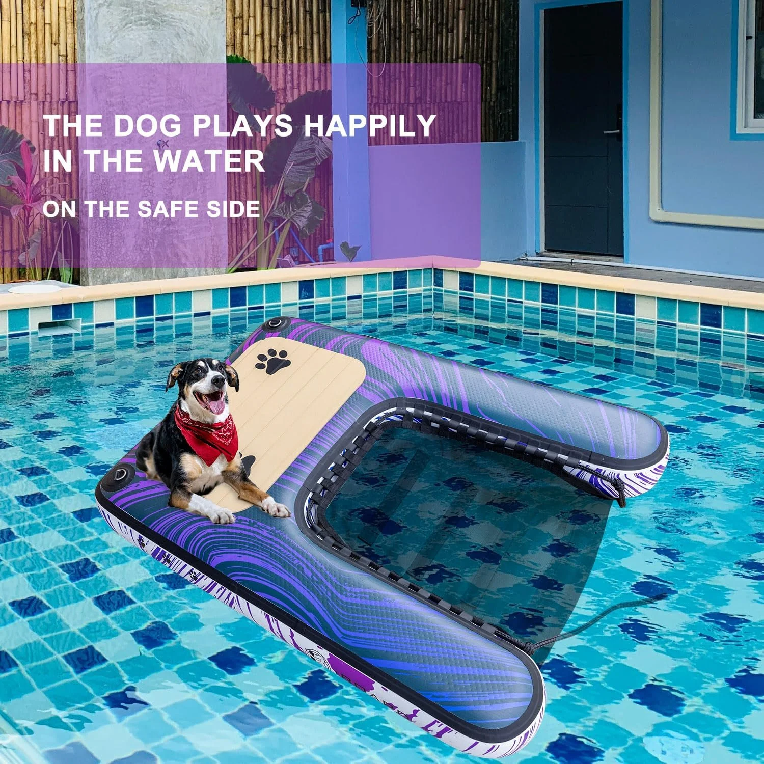 رمپ شناور بادی سگ iBoard با نردبان، رمپ شناور قابل حمل برای استخرها، قایق ها، اسکله ها، فوم EVA ضد لغزش، تا 100 کیلوگرم، بنفش/آبی