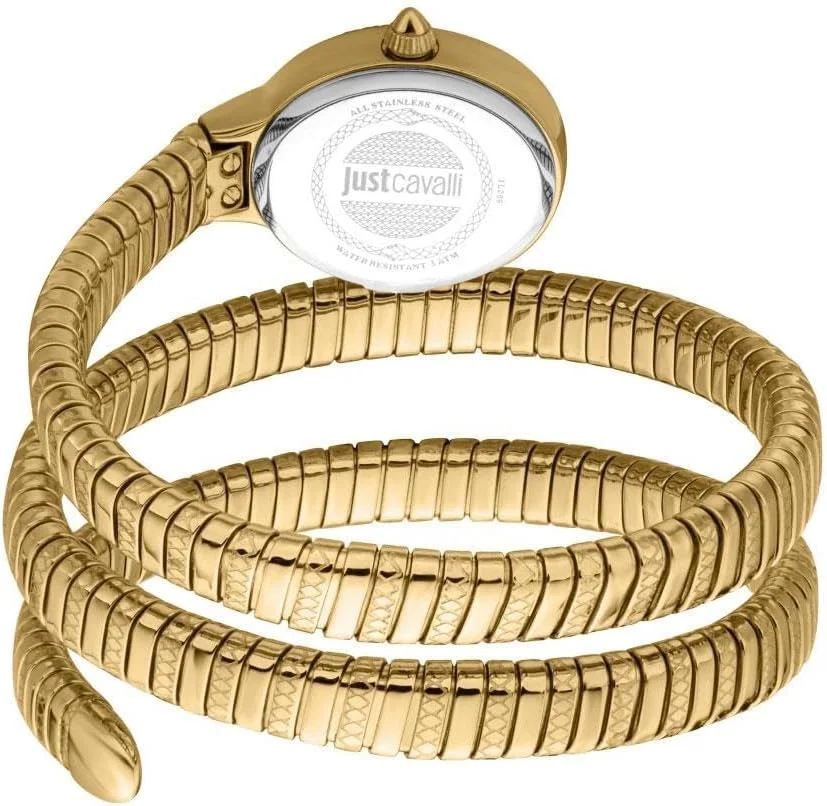 ساعت مچی زنانه جاست کاوالی، قاب طلایی رنگ، صفحه نقره ای، بند فلزی طلایی رنگ، دو عقربه، 3ATM ساعت مچی زنانه جاست کاوالی، قاب طلایی رنگ، صفحه نقره ای، بند فلزی طلایی رنگ، دو عقربه، 3ATM