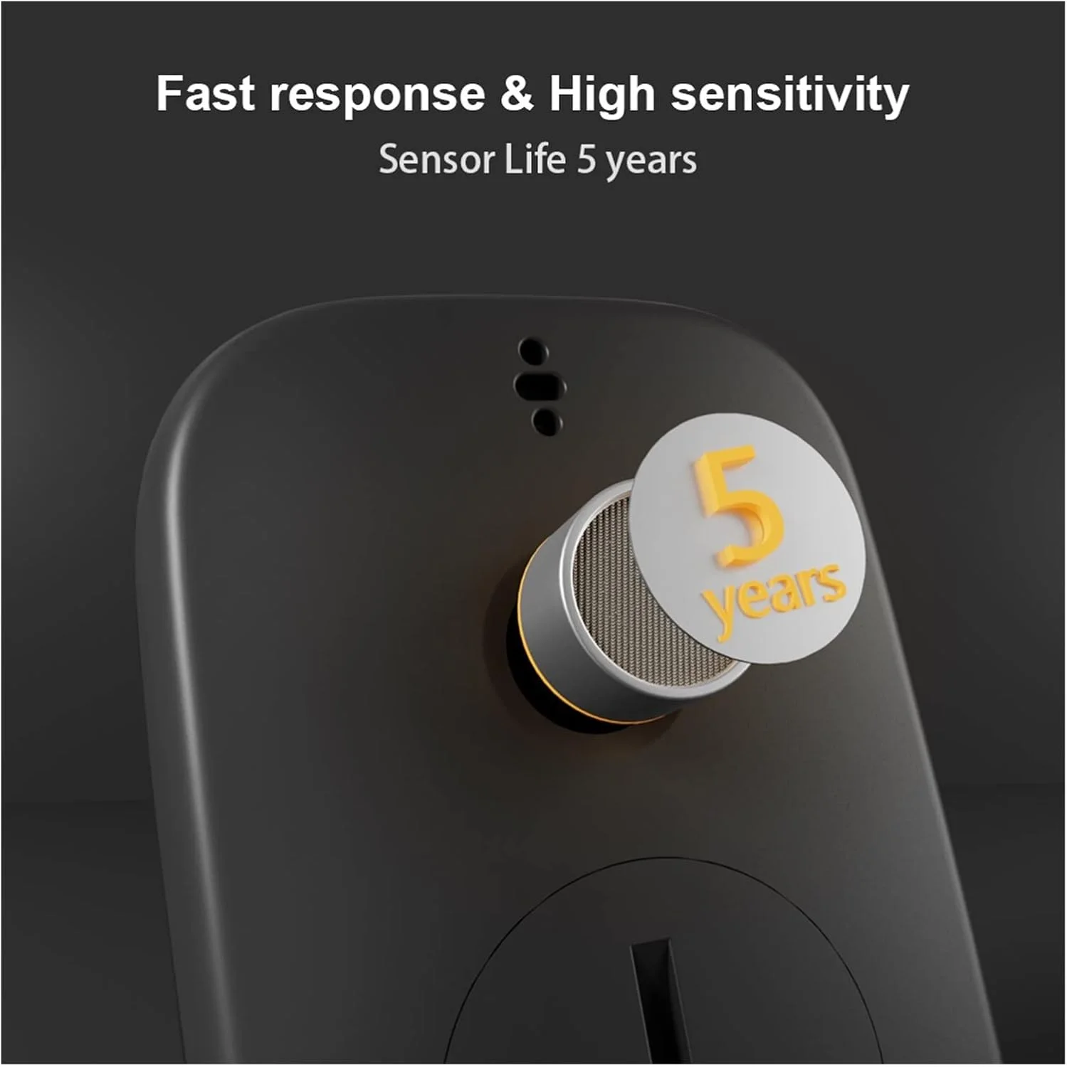 سنسور نشت گاز چندگانه SilteD، آنالایزر گاز قابل حمل مونوکسید کربن، دستگاه اندازه گیری CO با صفحه نمایش، محدوده اندازه گیری 0-1000PPM، دقت و حساسیت بالا سنسور نشت گاز چندگانه SilteD، آنالایزر گاز قابل حمل مونوکسید کربن، دستگاه اندازه گیری CO با صفحه نمایش، محدوده اندازه گیری 0-1000PPM، دقت و حساسیت بالا