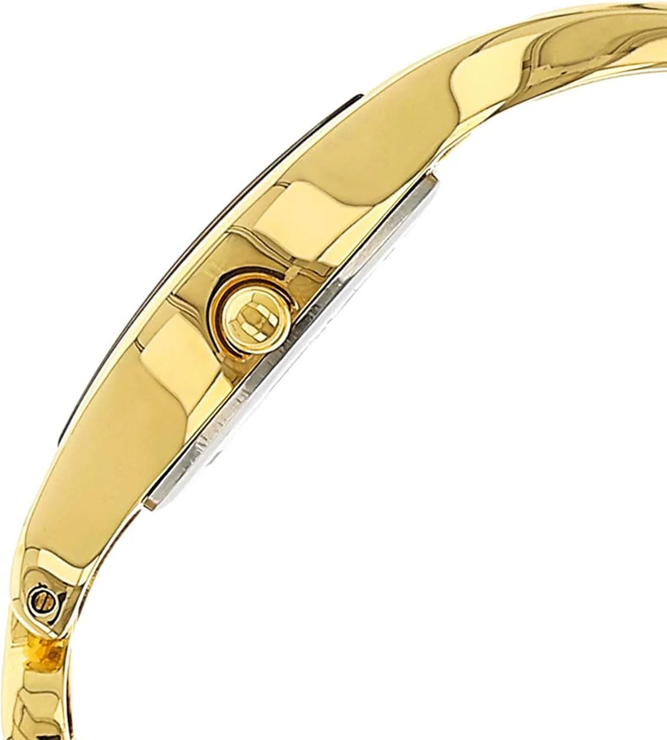 ساعت مچی آنالوگ زنانه تایتان راگا فلورا با طراحی خاص ساعت مچی آنالوگ زنانه تایتان راگا فلورا با طراحی خاص