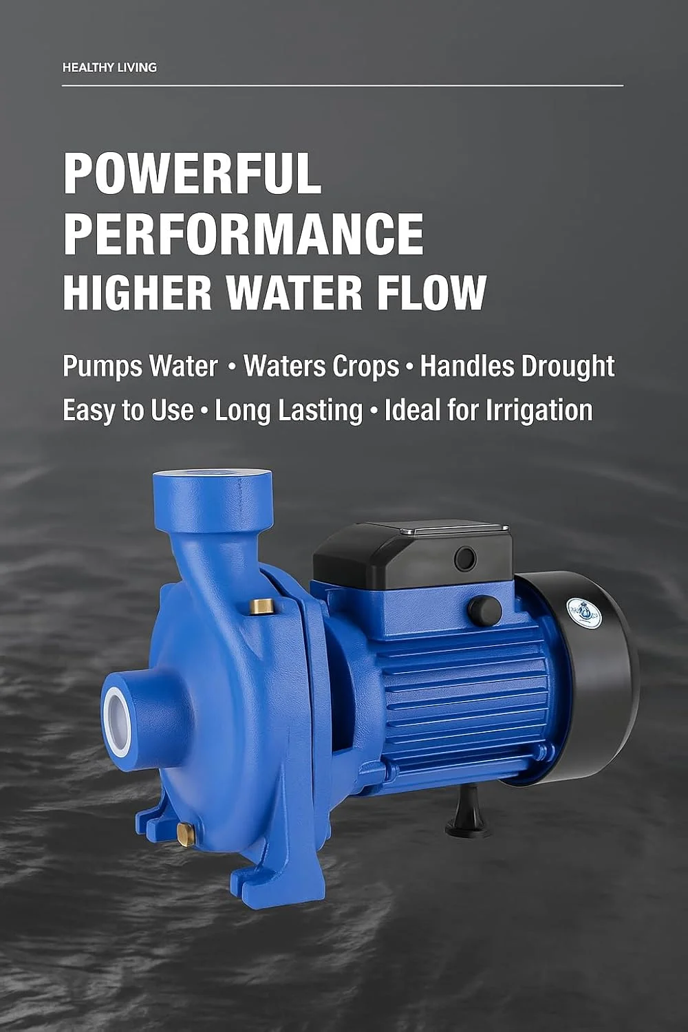 SUNRISE Centrifugal Water Pump, 1HP 750W Copper Motor with Brass Impeller, 1" Inlet/Outlet, IP44 Rated, for Garden Irrigation, Clean Water Transfer and Home Pressure Boosting (1HP – 1" Inlet)