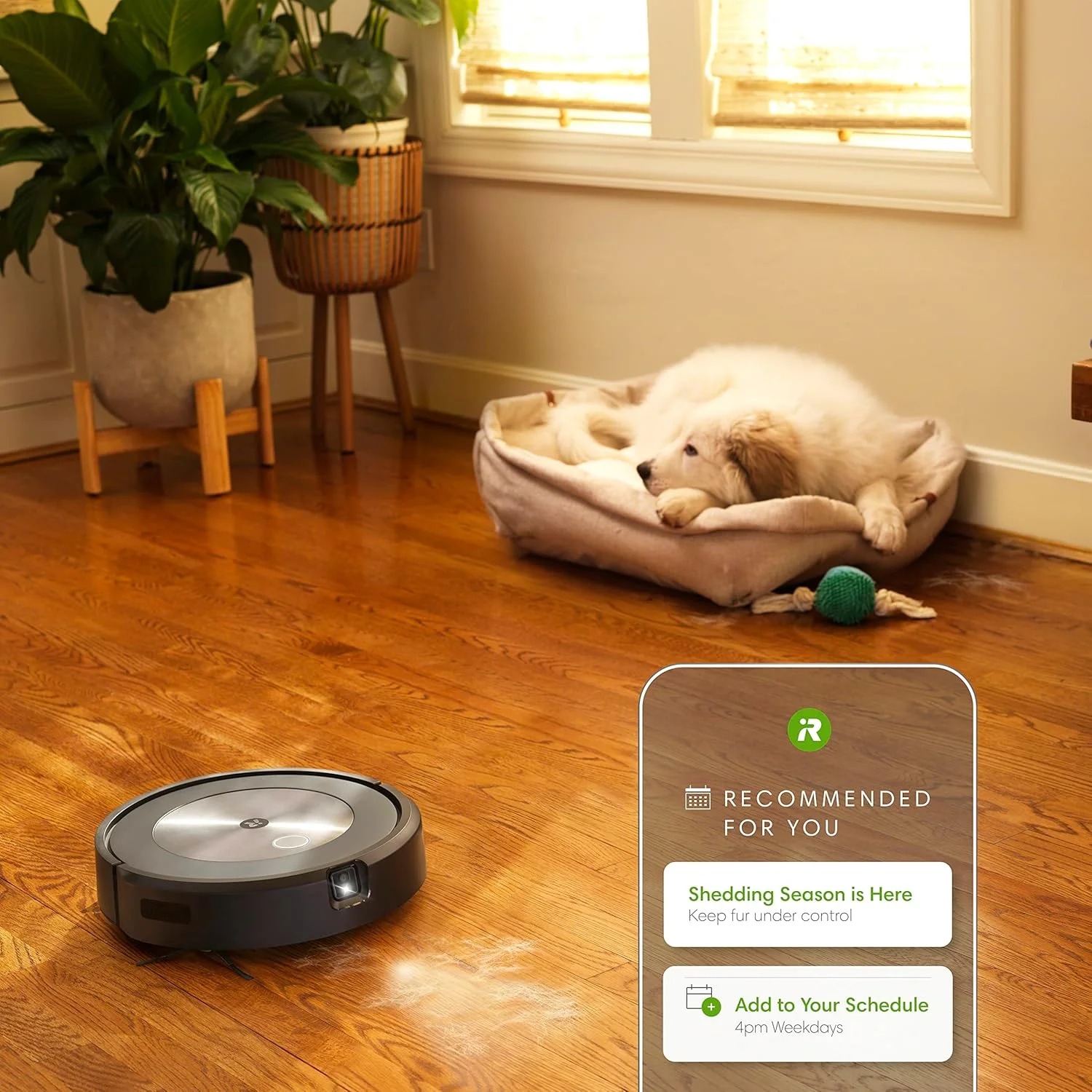 جاروبرقی رباتیک خود تخلیهشونده iRobot Roomba j6+ – شناسایی و اجتناب از فضولات حیوانات خانگی و سیمها، تخلیه خودکار تا 60 روز، نقشه برداری هوشمند، سازگار با الکسا، ایده آل برای موی حیوانات خانگی جاروبرقی رباتیک خود تخلیهشونده iRobot Roomba j6+ – شناسایی و اجتناب از فضولات حیوانات خانگی و سیمها، تخلیه خودکار تا 60 روز، نقشه برداری هوشمند، سازگار با الکسا، ایده آل برای موی حیوانات خانگی
