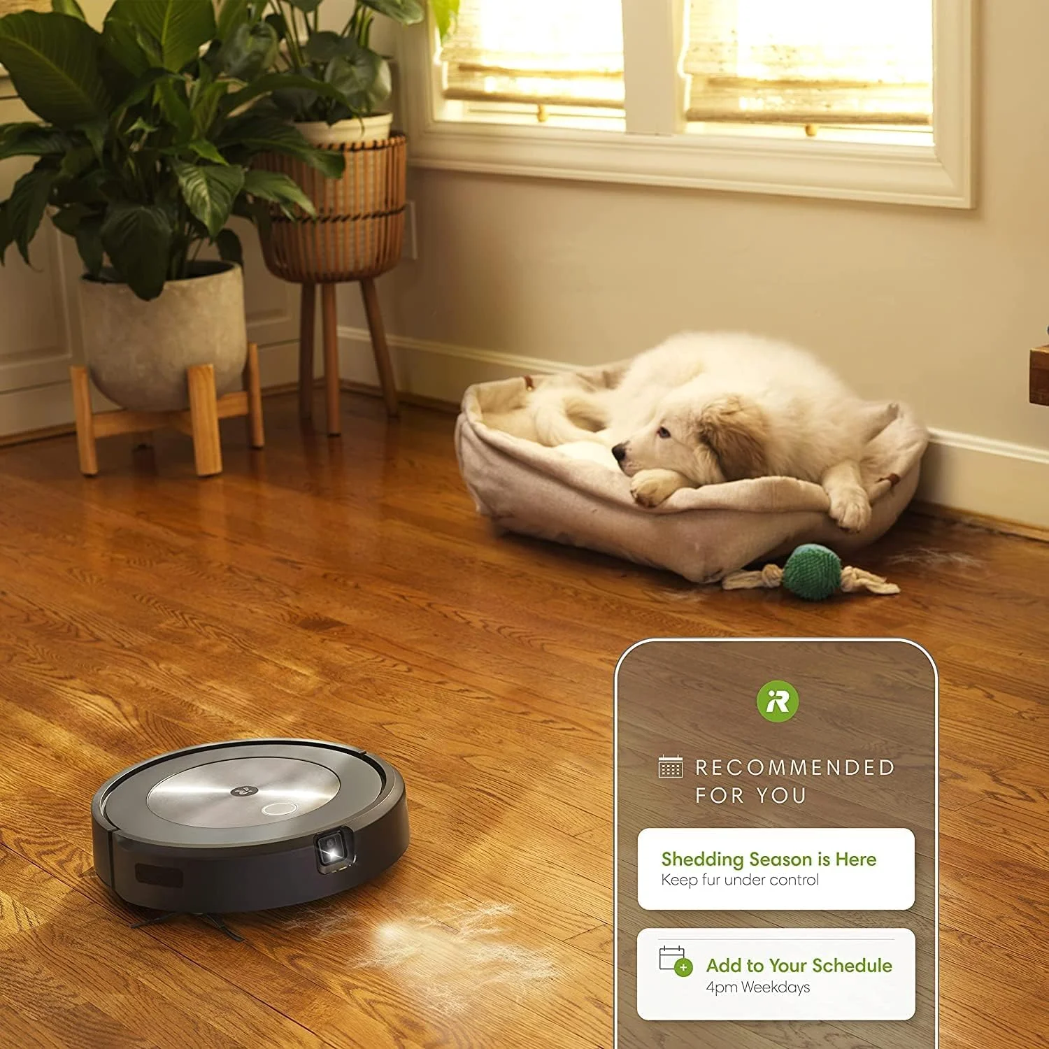جاروبرقی رباتیک خود تخلیهشونده iRobot Roomba j7+ (7550) - شناسایی و اجتناب از موانع با دوربین داخلی مانند فضولات حیوانات خانگی و سیمها + برس جانبی اورجینال جاروبرقی رباتیک خود تخلیهشونده iRobot Roomba j7+ (7550) - شناسایی و اجتناب از موانع با دوربین داخلی مانند فضولات حیوانات خانگی و سیمها + برس جانبی اورجینال
