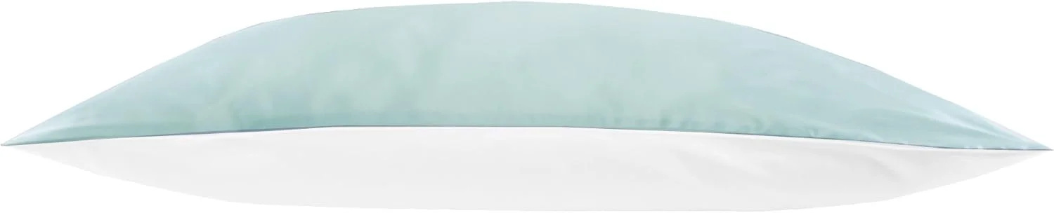 Jasmine Silk 100% Pure Mulberry Silk 19 Momme Charmeuse Silk Pillowcase With Cotton underside 1pc 50 x 75 cm Hypoallergenic (Duck egg)
