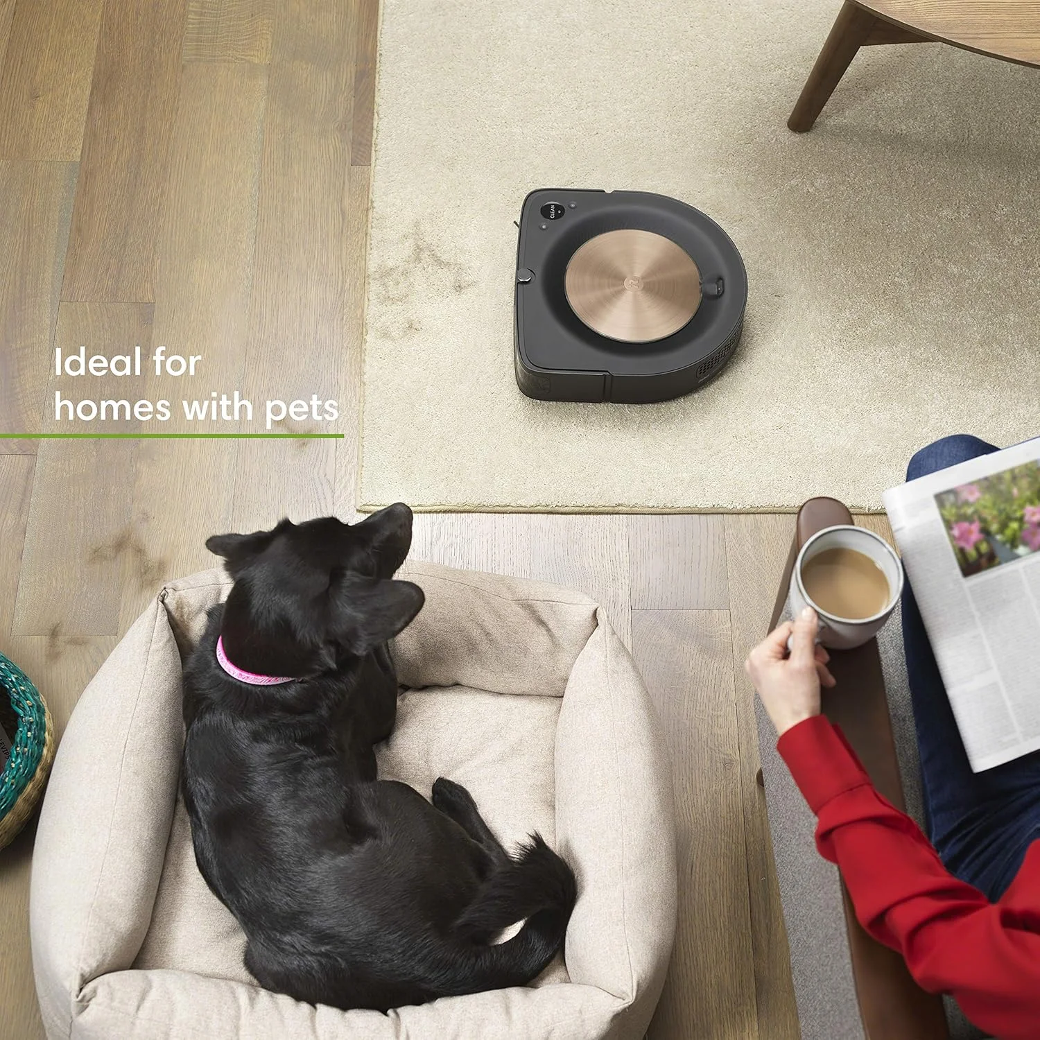 مجموعه جاروبرقی رباتیک Irobot Roomba S9+ (9550) و تی شوی رباتیک Braava Jet M6 (6112) - اتصال Wi-Fi، نقشه برداری هوشمند، مکش قدرتمند، اسپری دقیق، مناسب برای گوشه ها و لبه ها، ایده آل برای اتاق های متعدد مجموعه جاروبرقی رباتیک Irobot Roomba S9+ (9550) و تی شوی رباتیک Braava Jet M6 (6112) - اتصال Wi-Fi، نقشه برداری هوشمند، مکش قدرتمند، اسپری دقیق، مناسب برای گوشه ها و لبه ها، ایده آل برای اتاق های متعدد