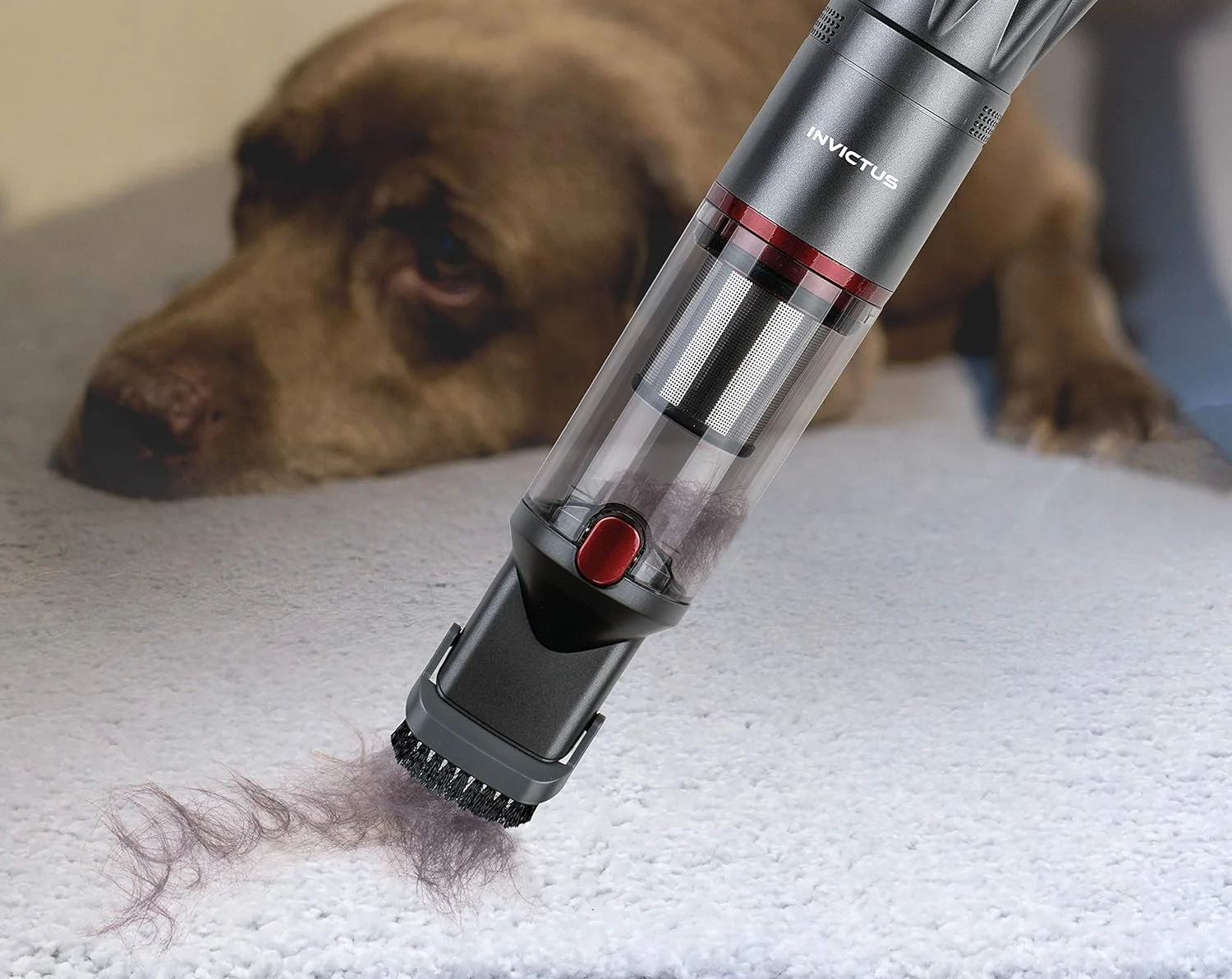 جاروبرقی دستی Genius A28178، PP، استیل ضد زنگ، ذغالی جاروبرقی دستی Genius A28178، PP، استیل ضد زنگ، ذغالی