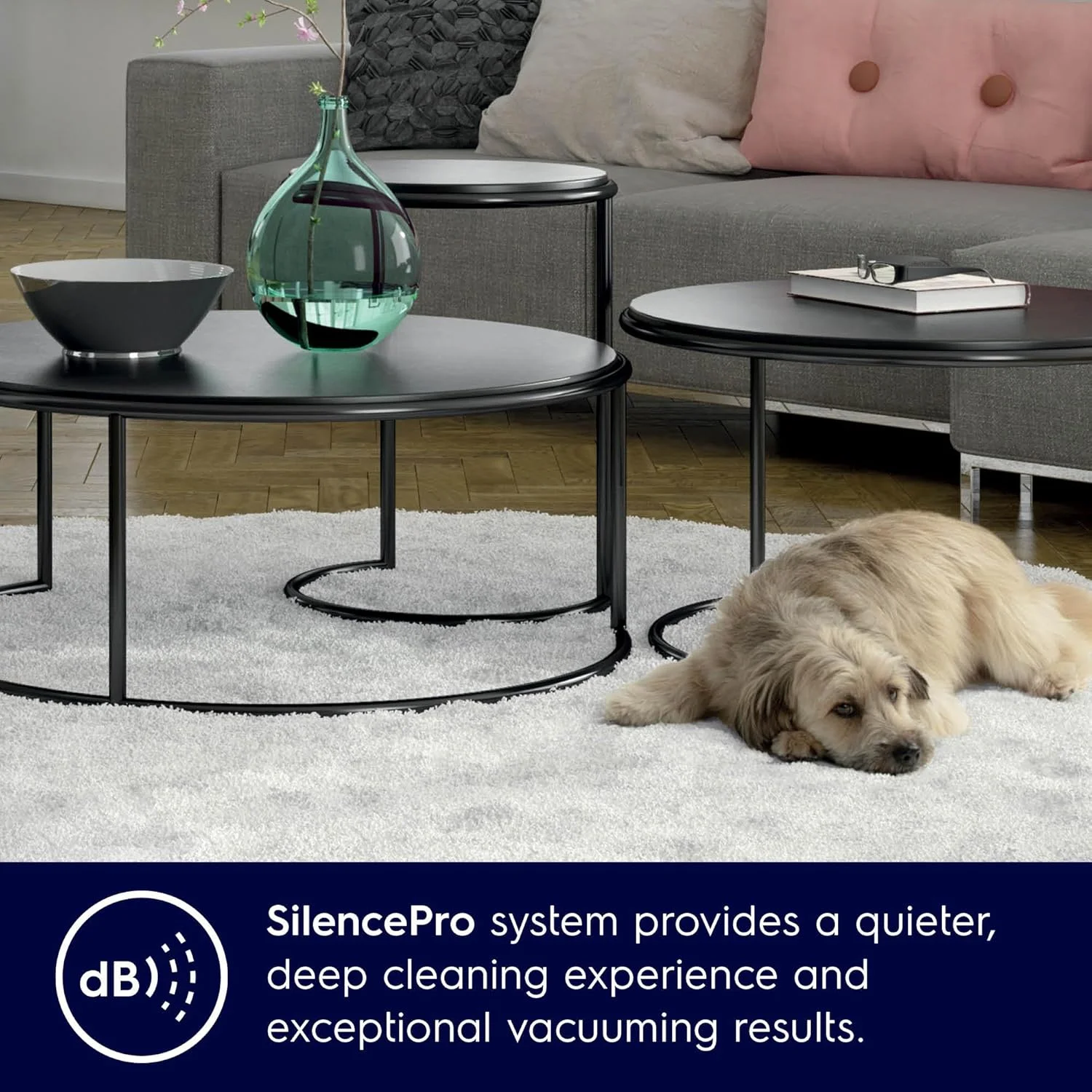 جاروبرقی کیسه ای 2200 وات الکترولوکس، مکش قدرتمند و عملکرد بی صدا، فناوری موتور بی صدا و تخلیه آسان، فیلتراسیون هوای پاک Allergyplus برای موی حیوانات خانگی، کف سخت و فرش ZSPC2000 جاروبرقی کیسه ای 2200 وات الکترولوکس، مکش قدرتمند و عملکرد بی صدا، فناوری موتور بی صدا و تخلیه آسان، فیلتراسیون هوای پاک Allergyplus برای موی حیوانات خانگی، کف سخت و فرش ZSPC2000