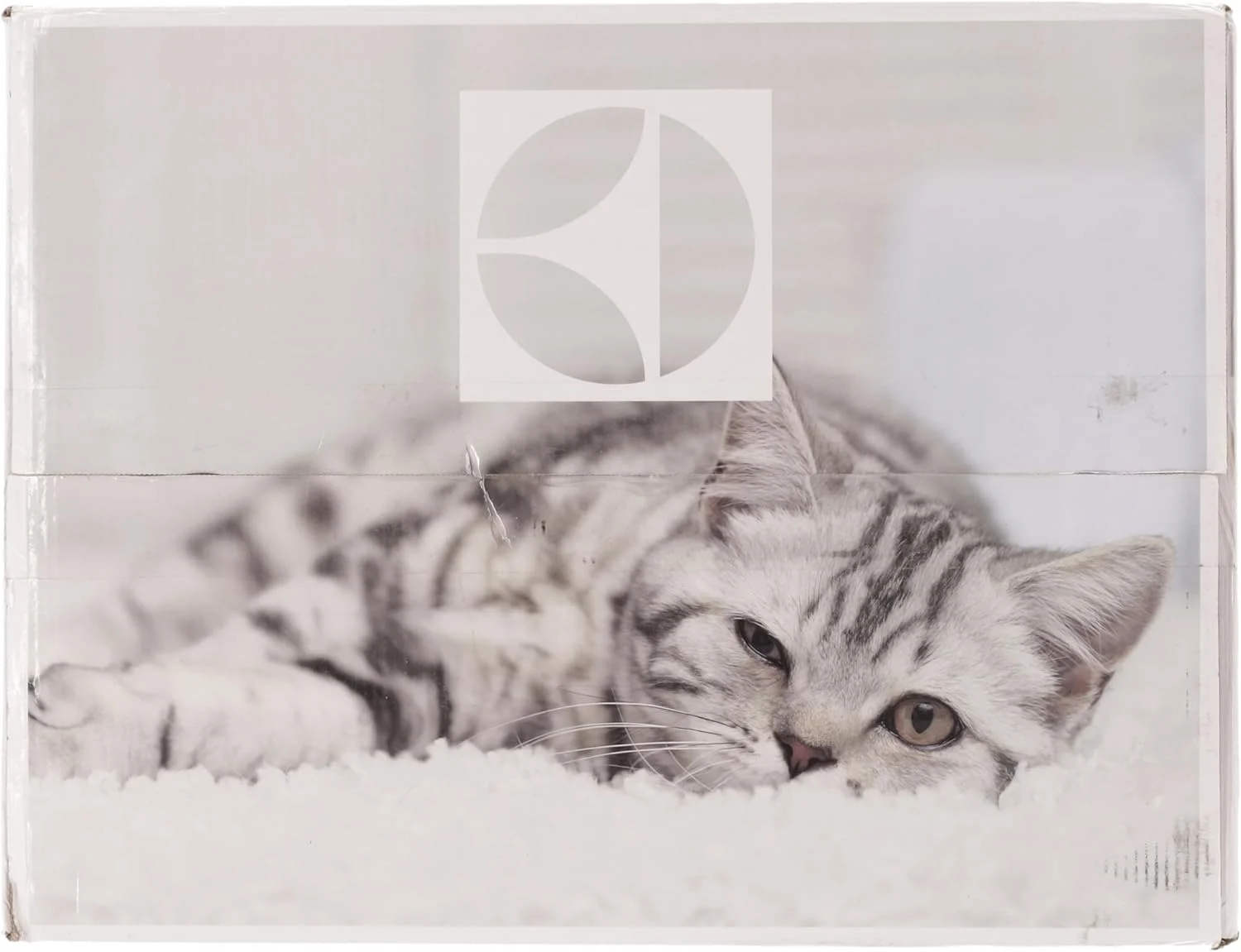 جاروبرقی الکترولوکس EC41-4T