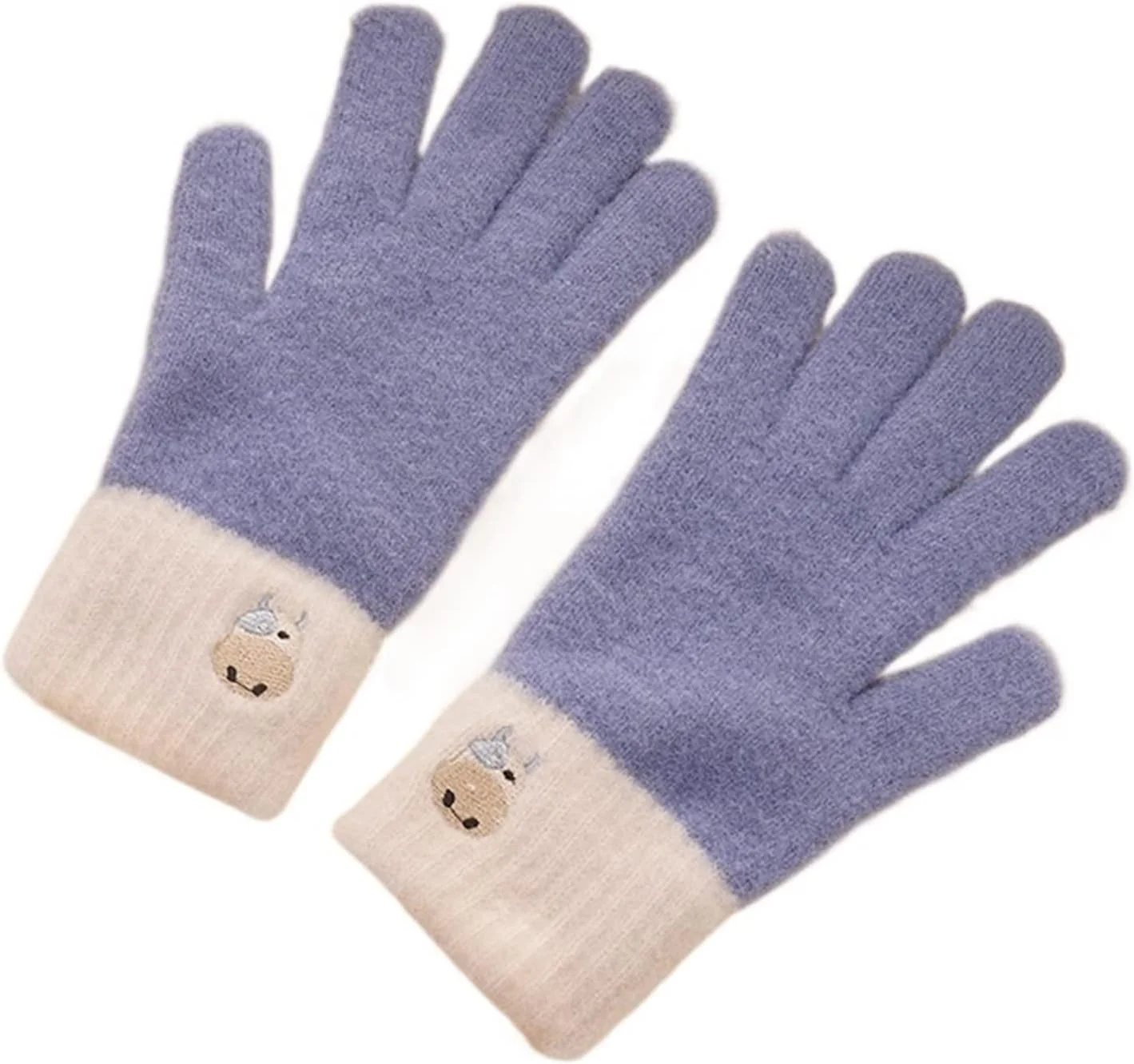 دستکش های زمستانی YWLETO، دستکش بافتنی دوچرخه سواری، دستکش دخترانه پاییز و زمستان، زیبا، ضد سرما، صفحه لمسی، دستکش های گرم دانشجویی برای زنان