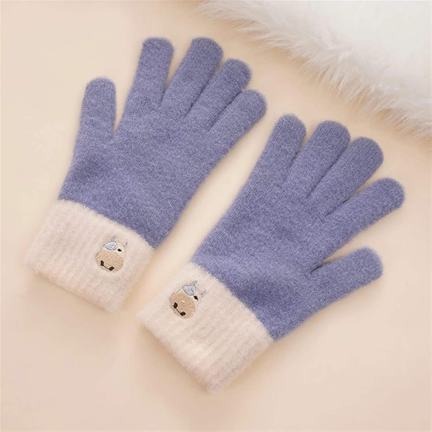 دستکش های زمستانی YWLETO، دستکش بافتنی دوچرخه سواری، دستکش دخترانه پاییز و زمستان، زیبا، ضد سرما، صفحه لمسی، دستکش های گرم دانشجویی برای زنان