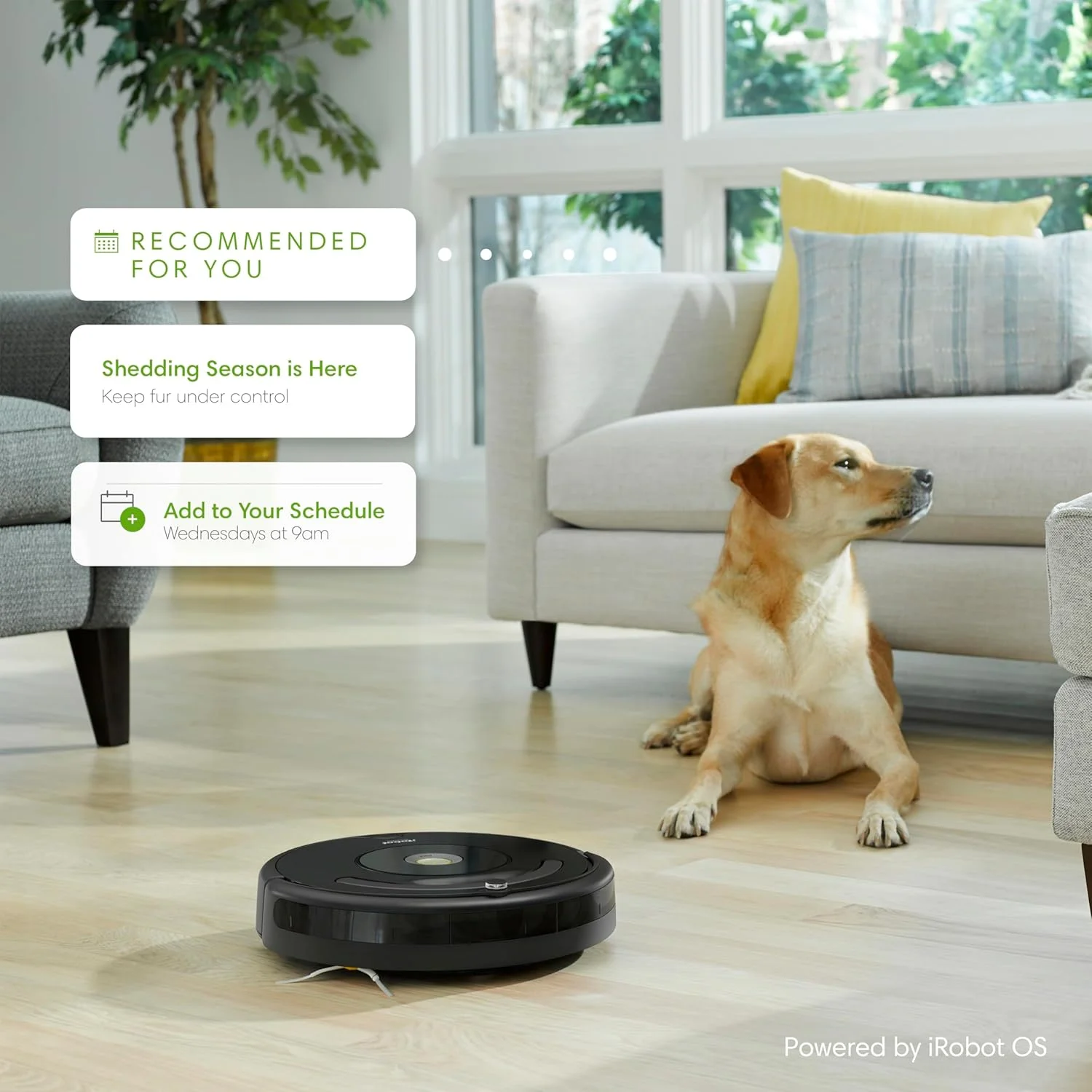 iRobot Roomba 671, Smart Robot Vacuum, Roomba 671 with Wi-Fi Connection, Series 671, Contents: 1 x Smart Cordless Vacuum, Colour: Black iRobot Roomba 671, Smart Robot Vacuum, Roomba 671 with Wi-Fi Connection, Series 671, Contents: 1 x Smart Cordless Vacuum, Colour: Black