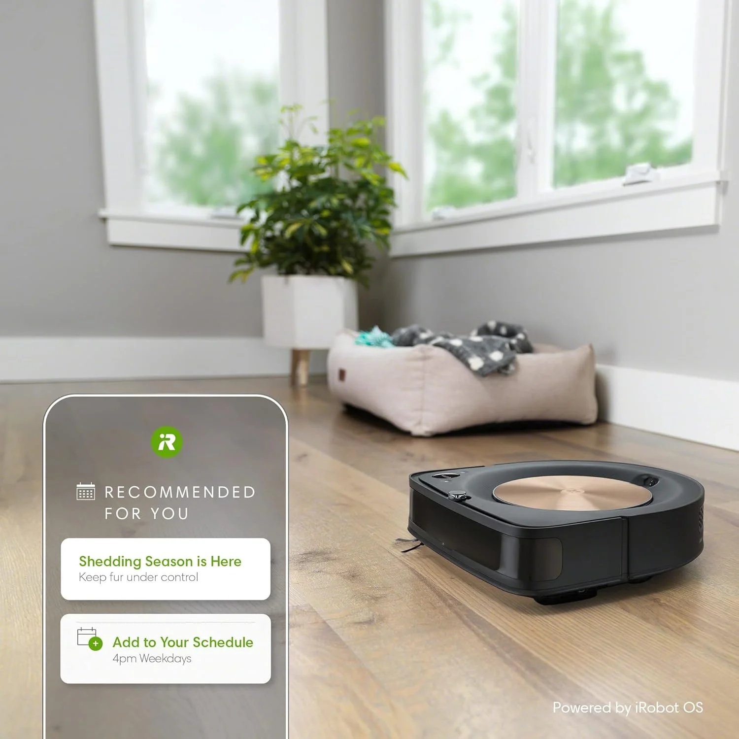 جاروبرقی رباتیک Irobot Roomba S9+ (9550) با تخلیه خودکار زباله - تخلیه خودکار، اتصال Wi-Fi، نقشه برداری هوشمند، مکش قدرتمند، گوشه ها و لبه ها، ایده آل برای موی حیوانات خانگی، مشکی جاروبرقی رباتیک Irobot Roomba S9+ (9550) با تخلیه خودکار زباله - تخلیه خودکار، اتصال Wi-Fi، نقشه برداری هوشمند، مکش قدرتمند، گوشه ها و لبه ها، ایده آل برای موی حیوانات خانگی، مشکی