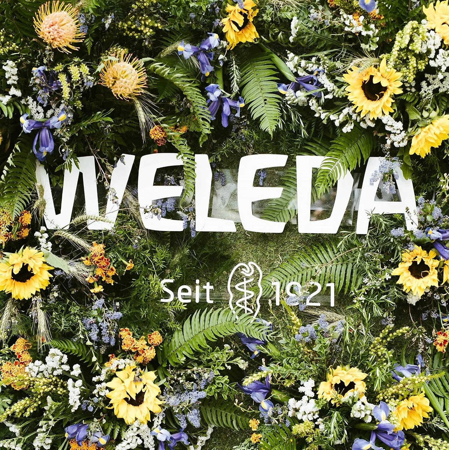 ست روغن بدن و دئودورانت رز وحشی Weleda، 100 میلی لیتر (بسته 2 عددی)، مجموعه غنی از گیاهان برای مراقبت از پوست با روغن رز وحشی ست روغن بدن و دئودورانت رز وحشی Weleda، 100 میلی لیتر (بسته 2 عددی)، مجموعه غنی از گیاهان برای مراقبت از پوست با روغن رز وحشی