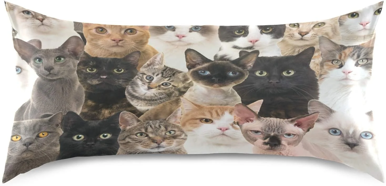 روبالشتی ساتن AUUXVA، روبالشتی تنفسی برای مو و پوست، طرح گربه کارتونی رنگارنگ، سایز استاندارد 50x66 سانتی متر، روکش بالش ساتن با بست پاکتی برای تخت خواب و مبل روبالشتی ساتن AUUXVA، روبالشتی تنفسی برای مو و پوست، طرح گربه کارتونی رنگارنگ، سایز استاندارد 50x66 سانتی متر، روکش بالش ساتن با بست پاکتی برای تخت خواب و مبل