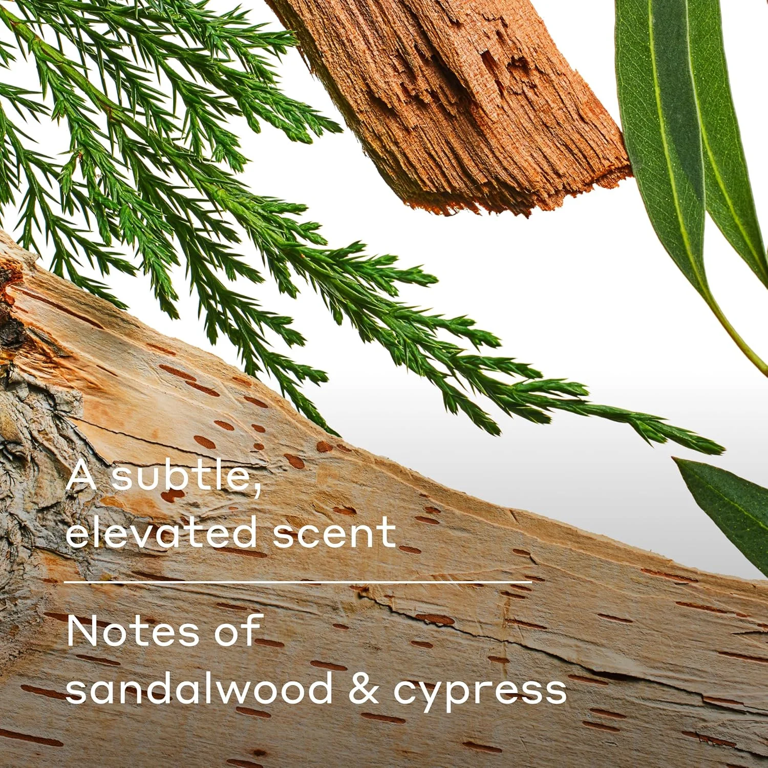 ضد تعریق فوق العاده قوی هری - ضد تعریق کنترل کننده بو و تعریق پیشرفته برای مردان - وایلدلندز، 70 گرم، بسته 3 عددی ضد تعریق فوق العاده قوی هری - ضد تعریق کنترل کننده بو و تعریق پیشرفته برای مردان - وایلدلندز، 70 گرم، بسته 3 عددی