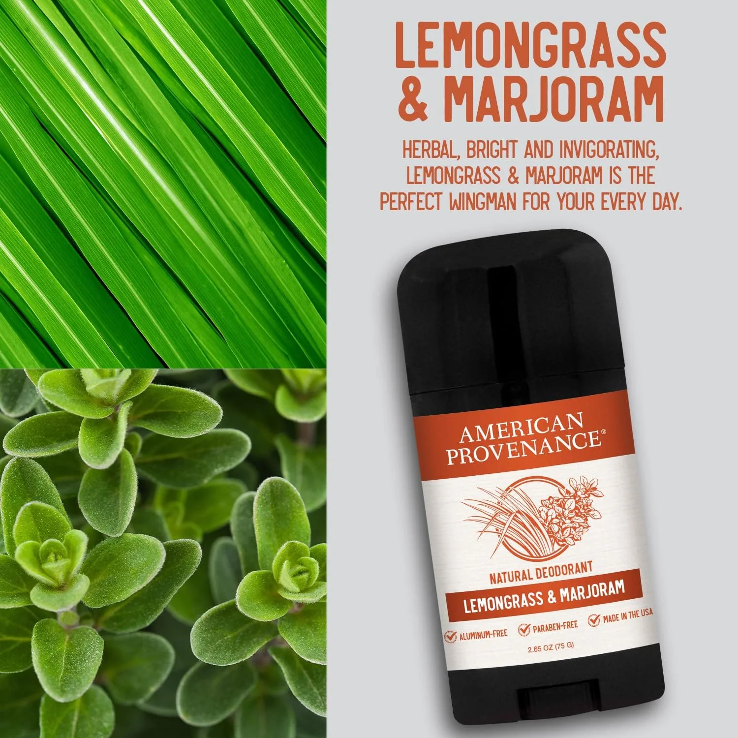 دئودورانت طبیعی مردانه امریکن پرووننس، Fastballs & Fisticuffs، 75 گرم دئودورانت طبیعی مردانه امریکن پرووننس، Fastballs & Fisticuffs، 75 گرم