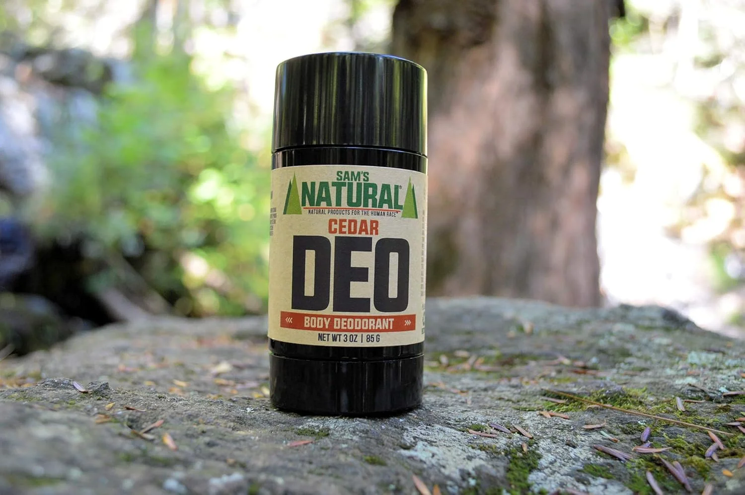 دئودورانت طبیعی سم - سدر - فاقد آلومینیوم - بدون فتالات، پارابن، سولفات یا رنگ - ساخت نیوهمپشایر - برای مردان، زنان، یونیسکس - وگان، بدون تست حیوانی - 85 گرم