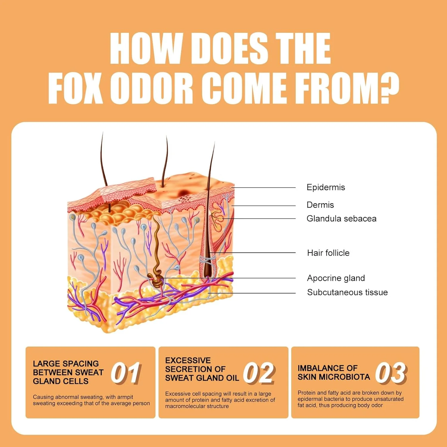 استیک دئودورانت کل بدن POSICHE، 14 گرم، طراوت 72 ساعته، محافظت در برابر بوی بد در تمام طول روز، طراوت تابستانی، کنترل تعریق، محافظت از زیر بغل، رفع بوی پا، رایحه دلپذیر پرتقال، ملایم