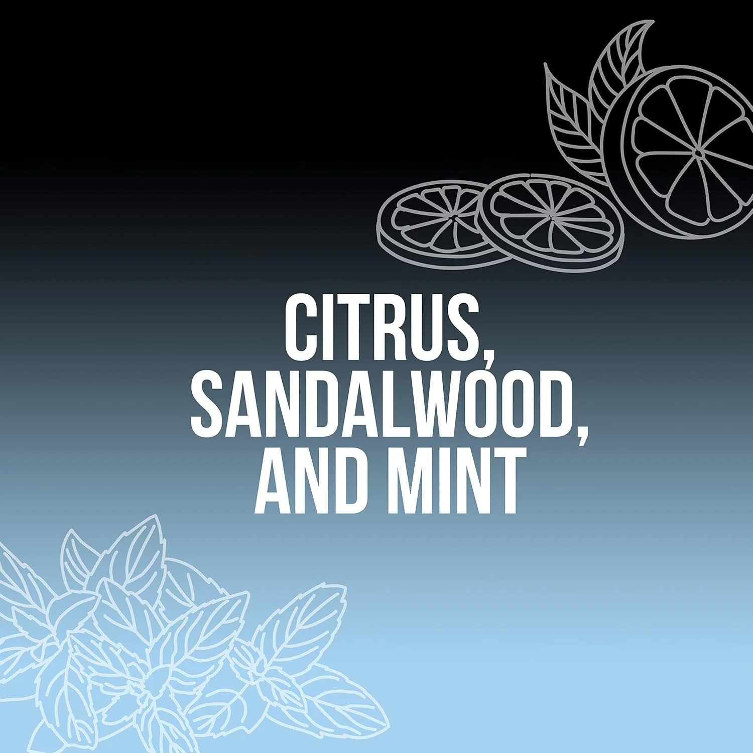 دئودورانت بدون آلومینیوم مردانه AXE Black Chill، محافظت 48 ساعته در برابر بو، 3 اونس دئودورانت بدون آلومینیوم مردانه AXE Black Chill، محافظت 48 ساعته در برابر بو، 3 اونس