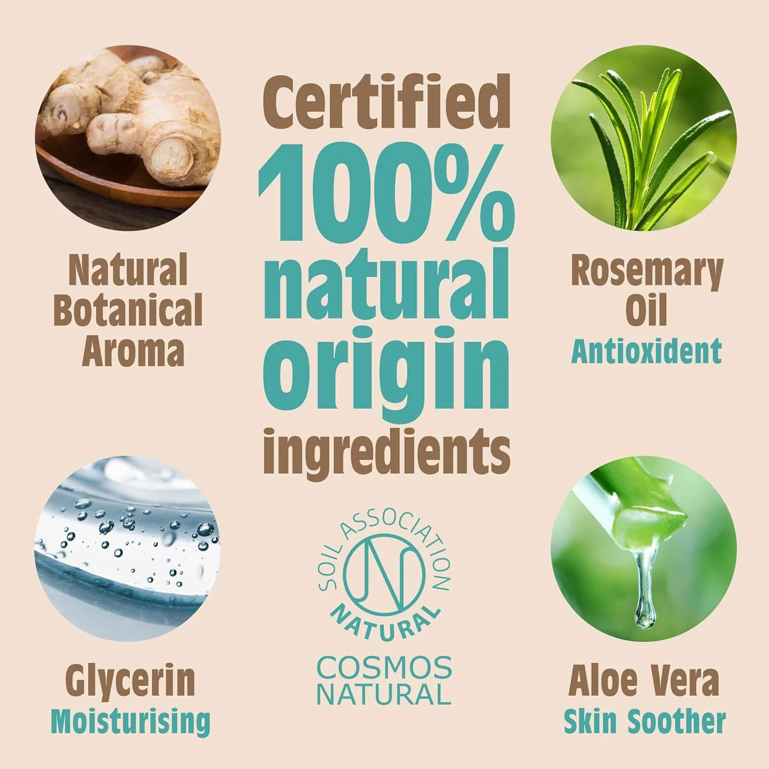 دئودورانت رولی طبیعی قابل شارژ مجدد Salt of the Earth با رایحه زنجبیل و یاس - محافظت موثر، 100% مواد طبیعی، سازگار با محیط زیست، وگان، بدون تست حیوانی. مناسب برای آقایان، خانم ها و کودکان - 75 میلی لیتر