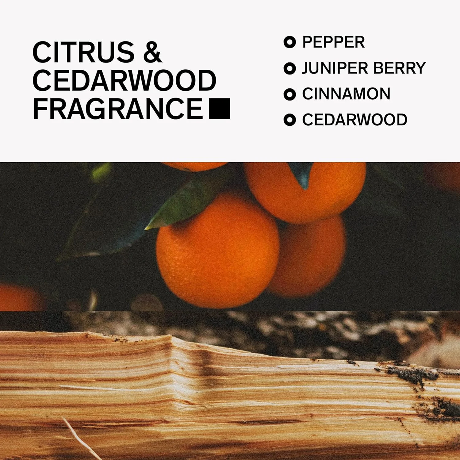 دئودورانت فاقد آلومینیوم مردانه Bravo Sierra، بسته 2 عددی - حاوی مواد طبیعی - محافظت طولانی مدت در برابر بو و عرق - مرکبات و چوب سدر، 90 گرم - فاقد پارابن، وگان و بدون تست حیوانی دئودورانت فاقد آلومینیوم مردانه Bravo Sierra، بسته 2 عددی - حاوی مواد طبیعی - محافظت طولانی مدت در برابر بو و عرق - مرکبات و چوب سدر، 90 گرم - فاقد پارابن، وگان و بدون تست حیوانی