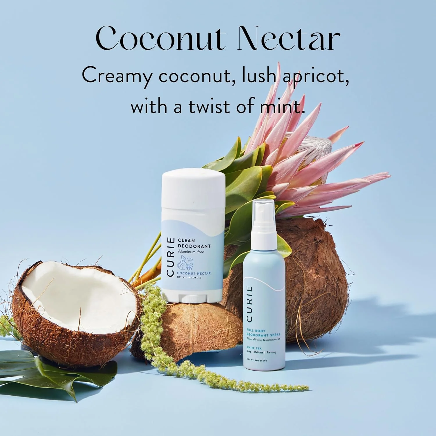 دئودورانت طبیعی Curie برای زنان - شهد نارگیل و ماسک سم زدایی زیر بغل - بدون آلومینیوم، پاک، پایدار، وگان و بدون پارابن (2 عددی) دئودورانت طبیعی Curie برای زنان - شهد نارگیل و ماسک سم زدایی زیر بغل - بدون آلومینیوم، پاک، پایدار، وگان و بدون پارابن (2 عددی)