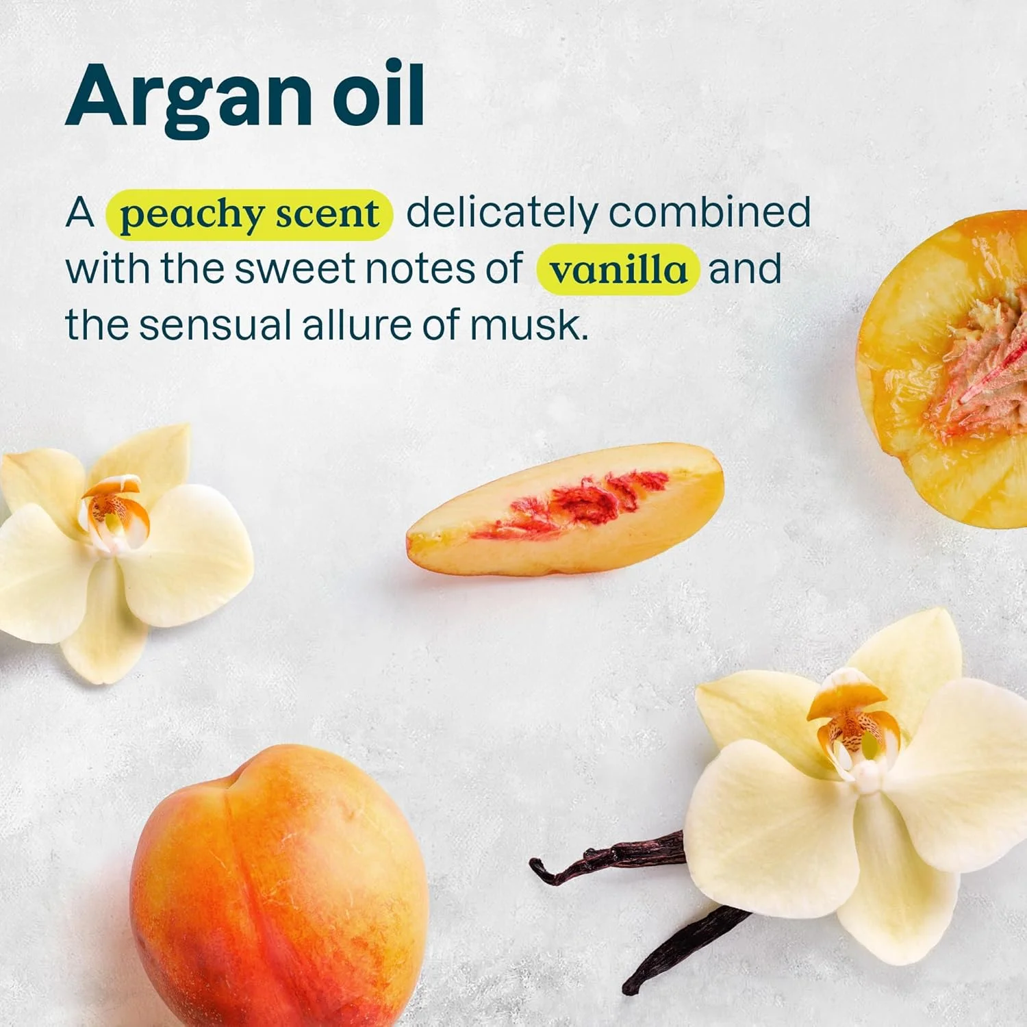 دئودورانت طبیعی بدون جوش شیرین ATTITUDE برای پوست حساس، تیوب مقوایی بدون پلاستیک، ضد حساسیت، روغن آرگان و بلغور جو دوسر تسکین دهنده، 3 اونس دئودورانت طبیعی بدون جوش شیرین ATTITUDE برای پوست حساس، تیوب مقوایی بدون پلاستیک، ضد حساسیت، روغن آرگان و بلغور جو دوسر تسکین دهنده، 3 اونس